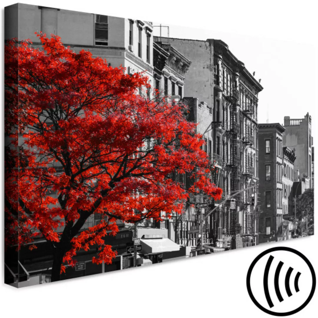 Wandbild Autumn in New York (1 Part) Wide XXL günstig online kaufen
