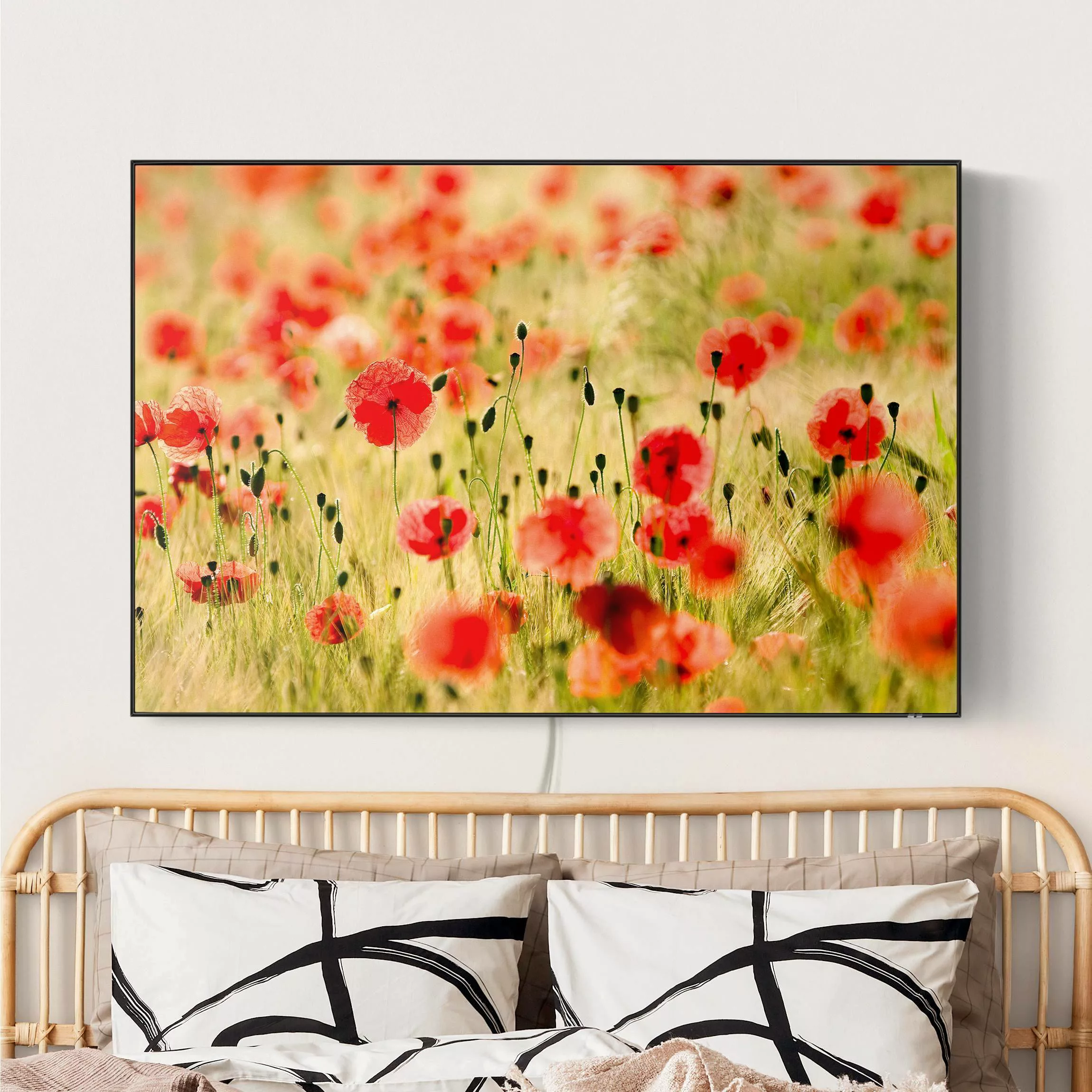 LED-Wechselbild Summer Poppies günstig online kaufen