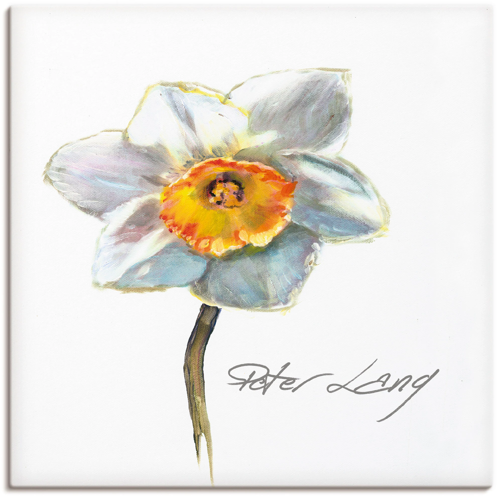 Artland Leinwandbild »Blume_weiß VIII«, Blumen, (1 St.), auf Keilrahmen ges günstig online kaufen