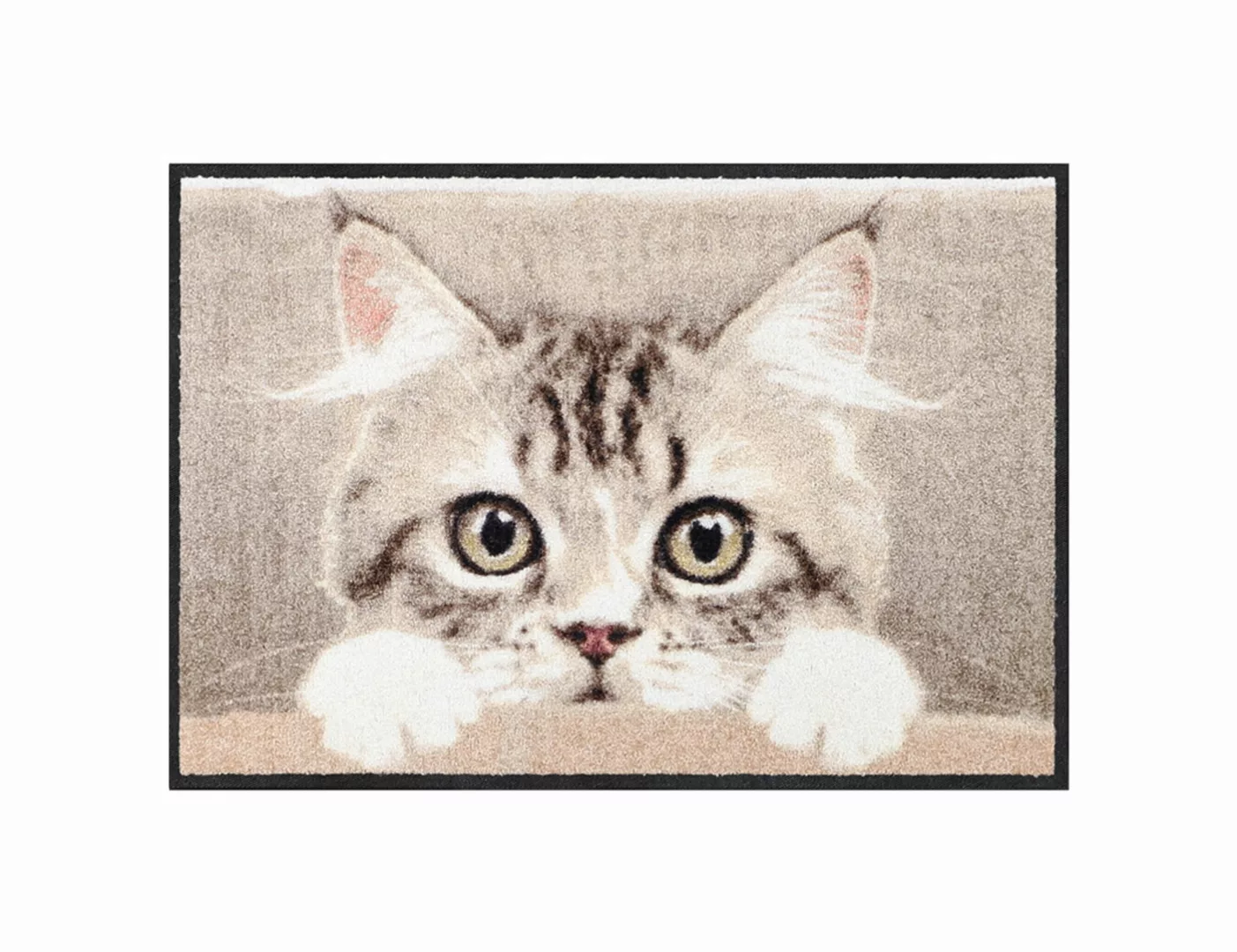 Fußmatte Nosy Cat günstig online kaufen