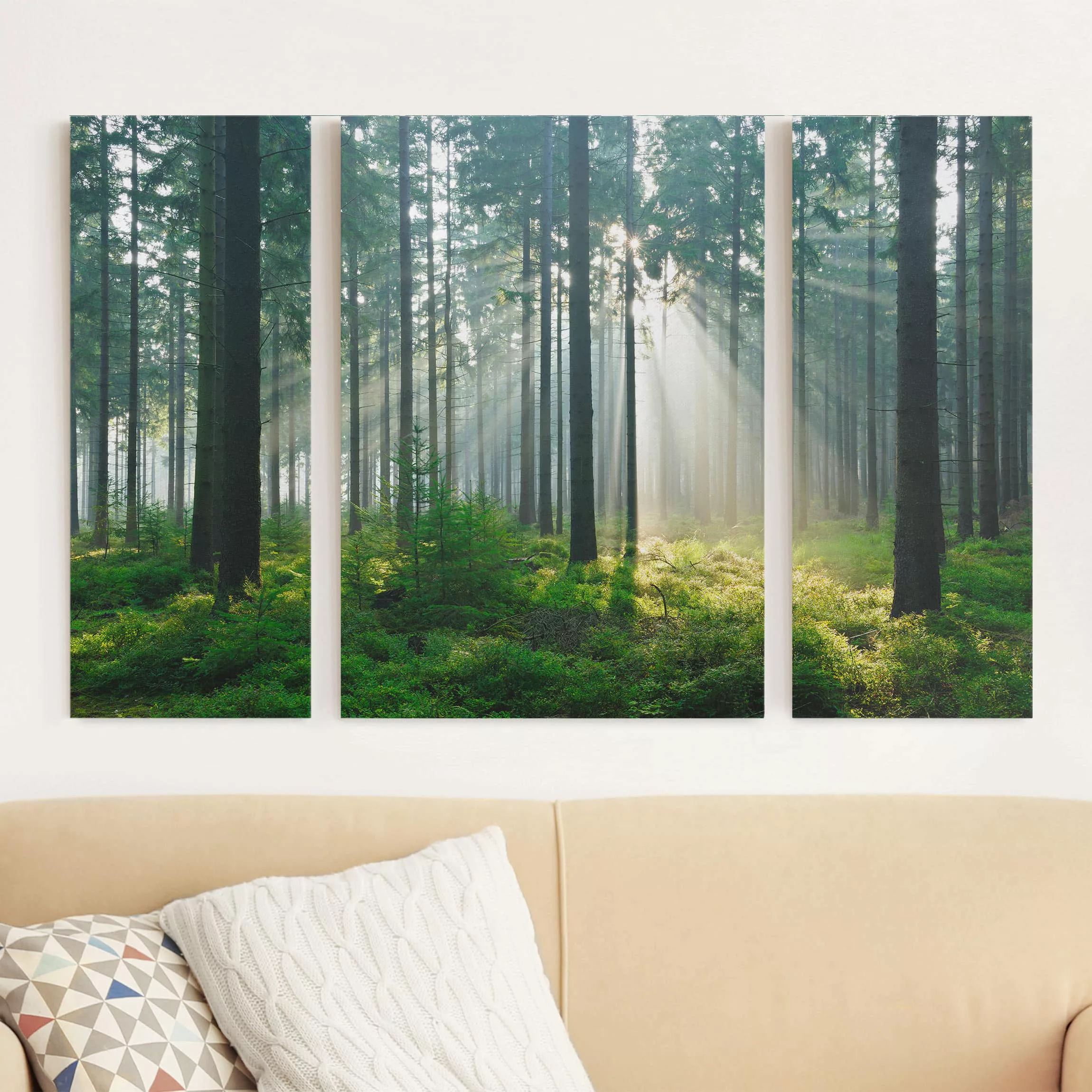 3-teiliges Leinwandbild Wald - Querformat Enlightened Forest günstig online kaufen