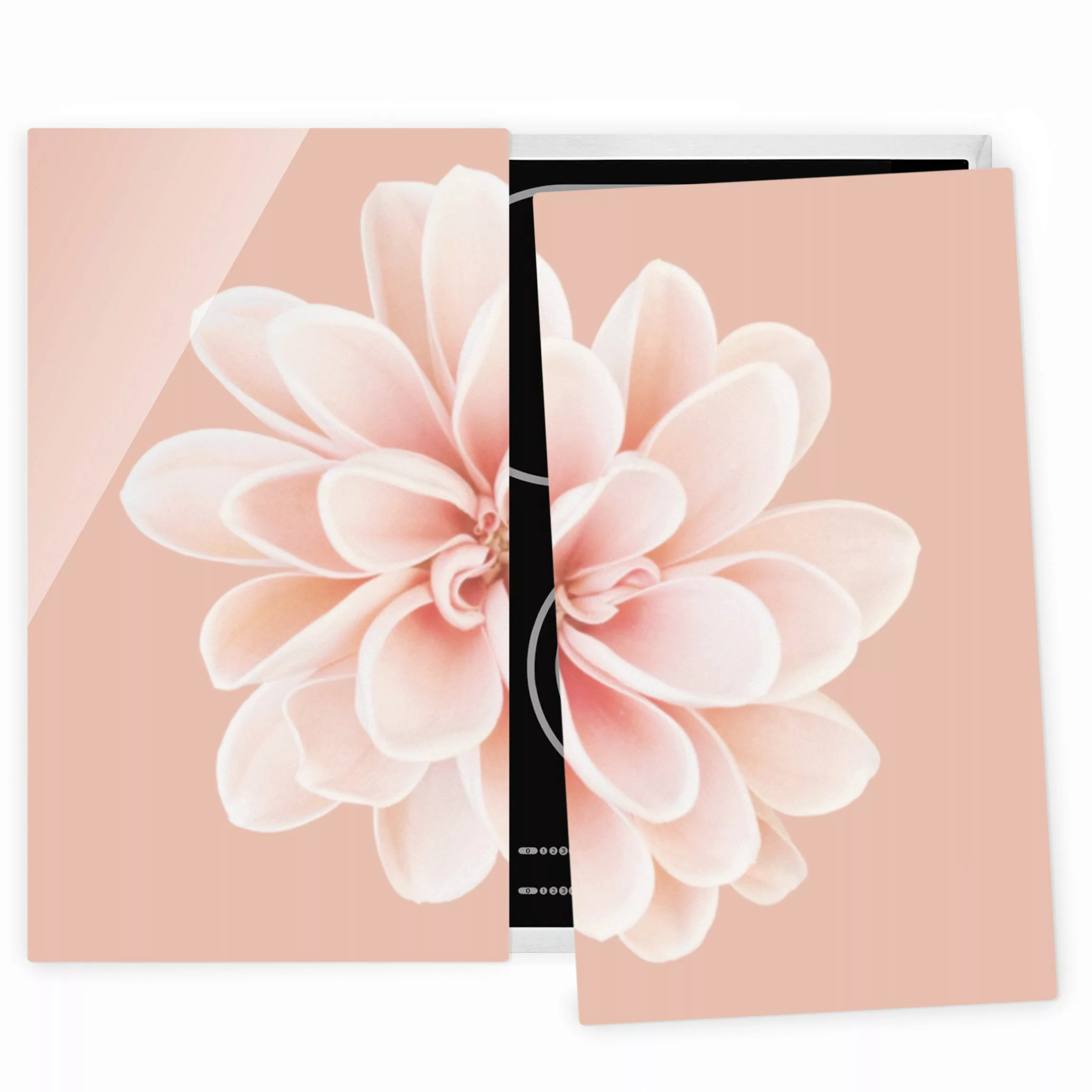 Herdabdeckplatte Blumen Dahlie Rosa Pastell Weiß Zentriert günstig online kaufen