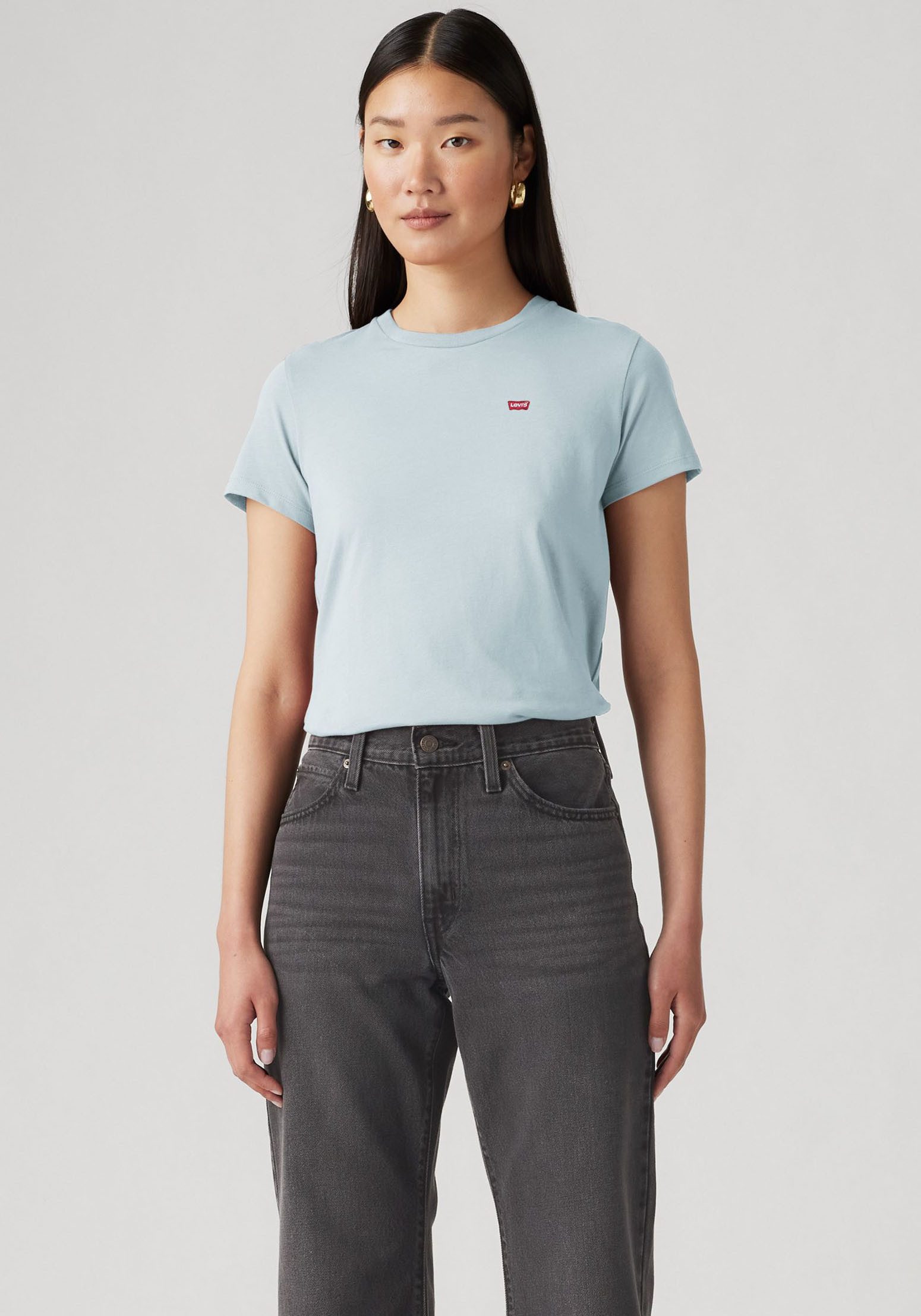 Levi's® T-Shirt Mini-Logo (Packung, 2-tlg) mit günstig online kaufen