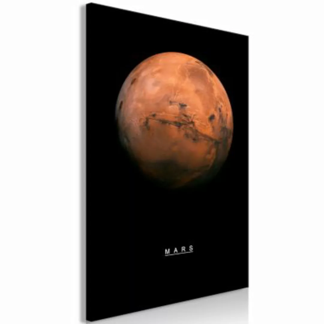 artgeist Wandbild Mars (1 Part) Vertical mehrfarbig Gr. 40 x 60 günstig online kaufen
