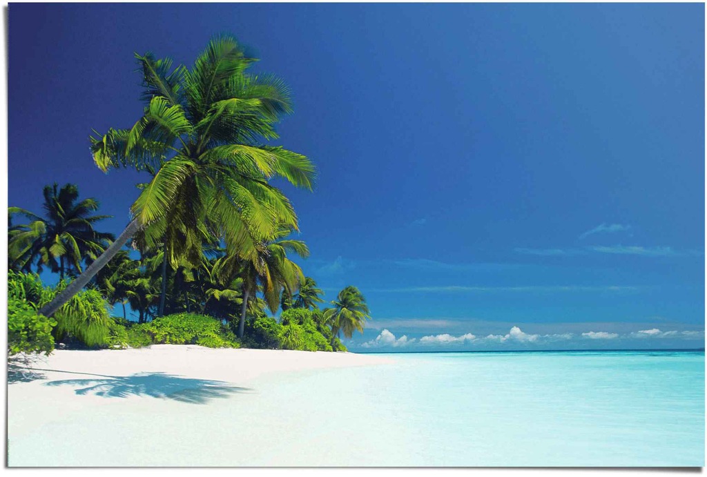Reinders Poster "Palmenstrand", (1 St.) günstig online kaufen