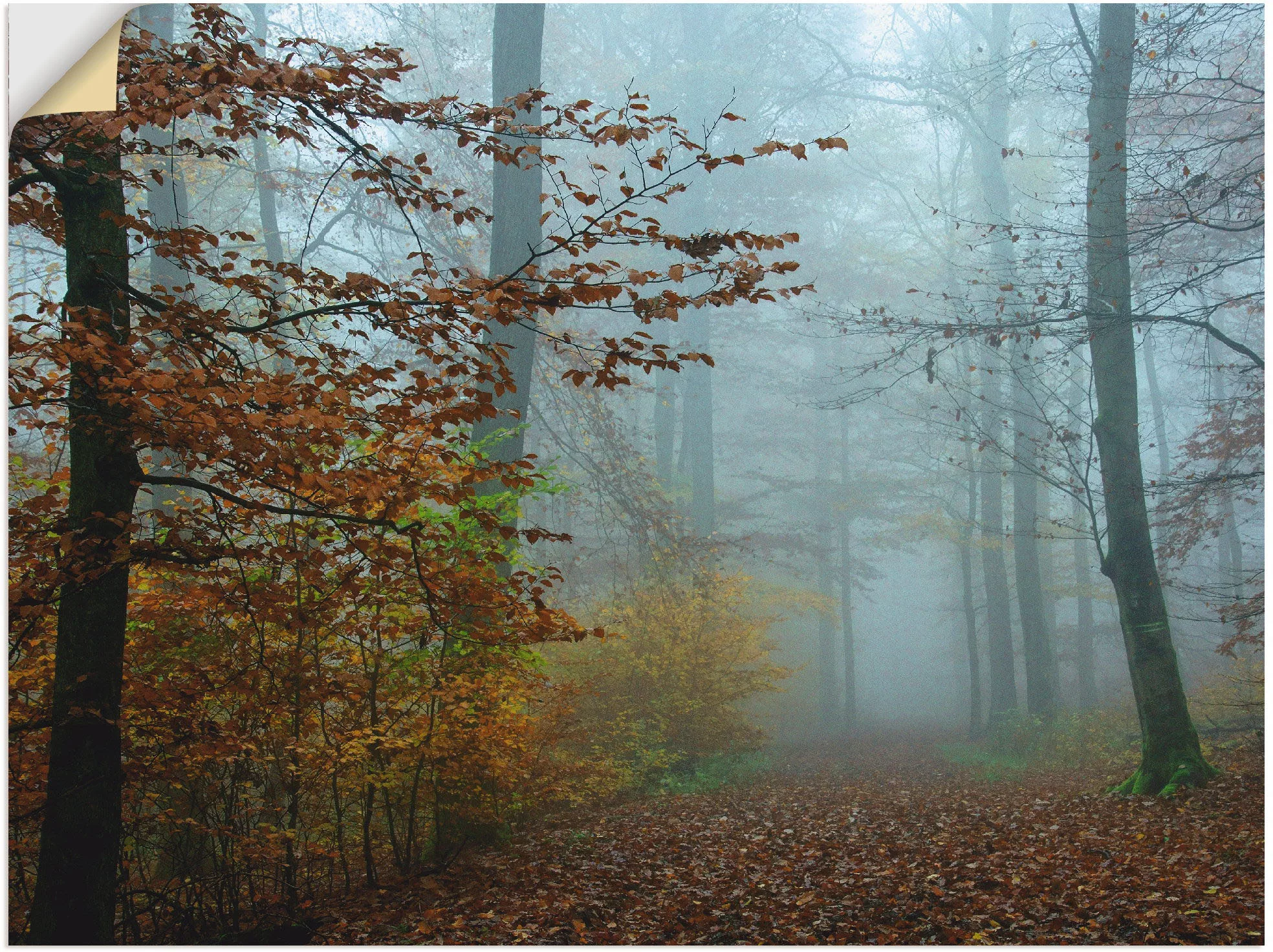 Artland Wandbild »Nebel im Herbstwald«, Wald, (1 St.), als Leinwandbild, Po günstig online kaufen