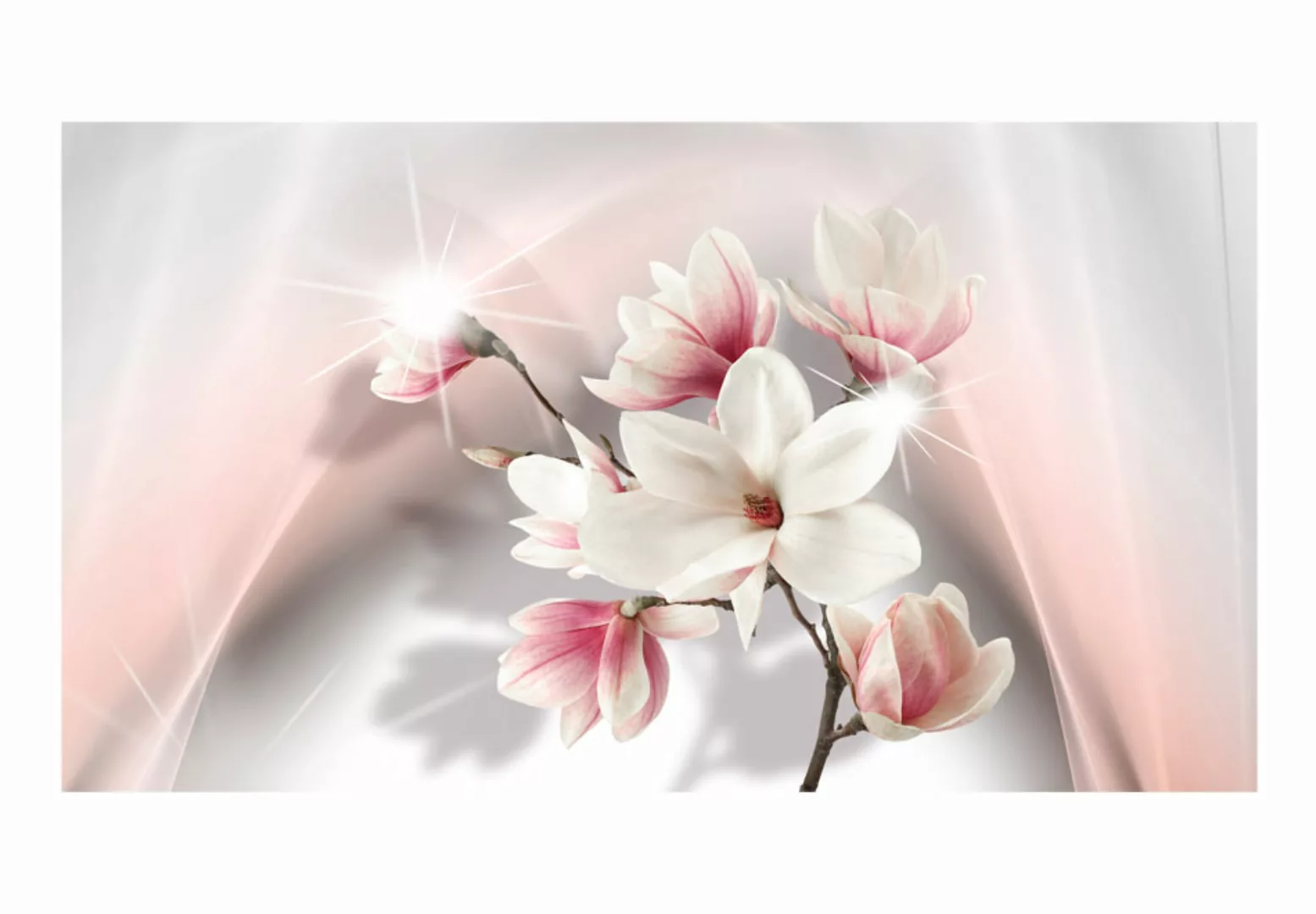 Xxl Tapete - White Magnolias Ii günstig online kaufen