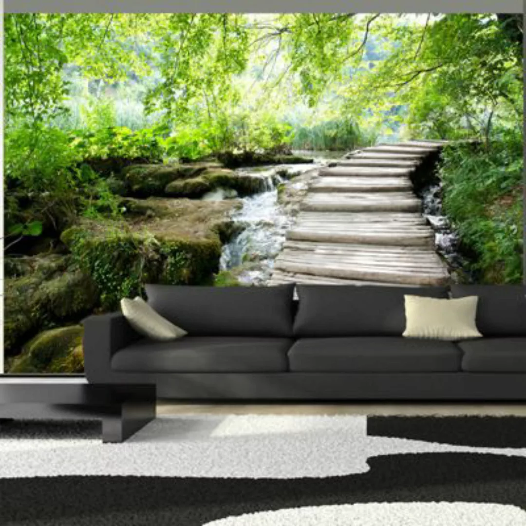 artgeist Fototapete Pfad im Wald mehrfarbig Gr. 350 x 245 günstig online kaufen