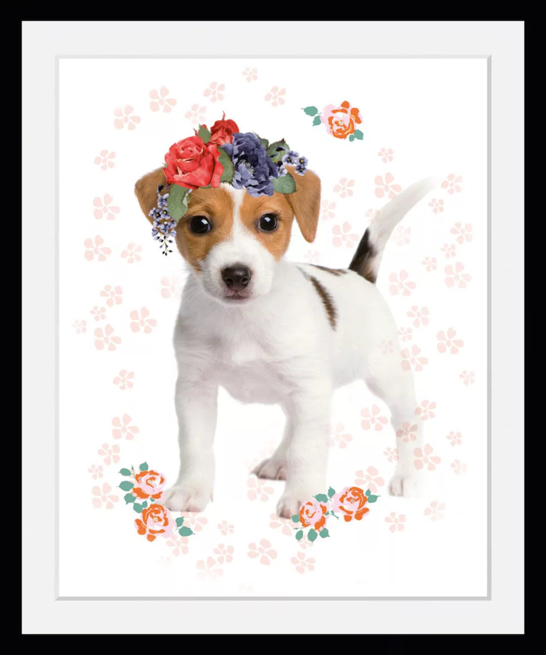 queence Bild "Hund mit Blumenkranz", (1 St.), HD Premium Poster-Druck inkl. günstig online kaufen