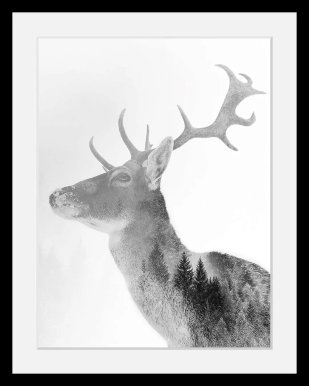 queence Bild »Hirsch«, Hirsch-Tiere-Wildtiere-Hirschbilder-Wald-Waldbilder- günstig online kaufen