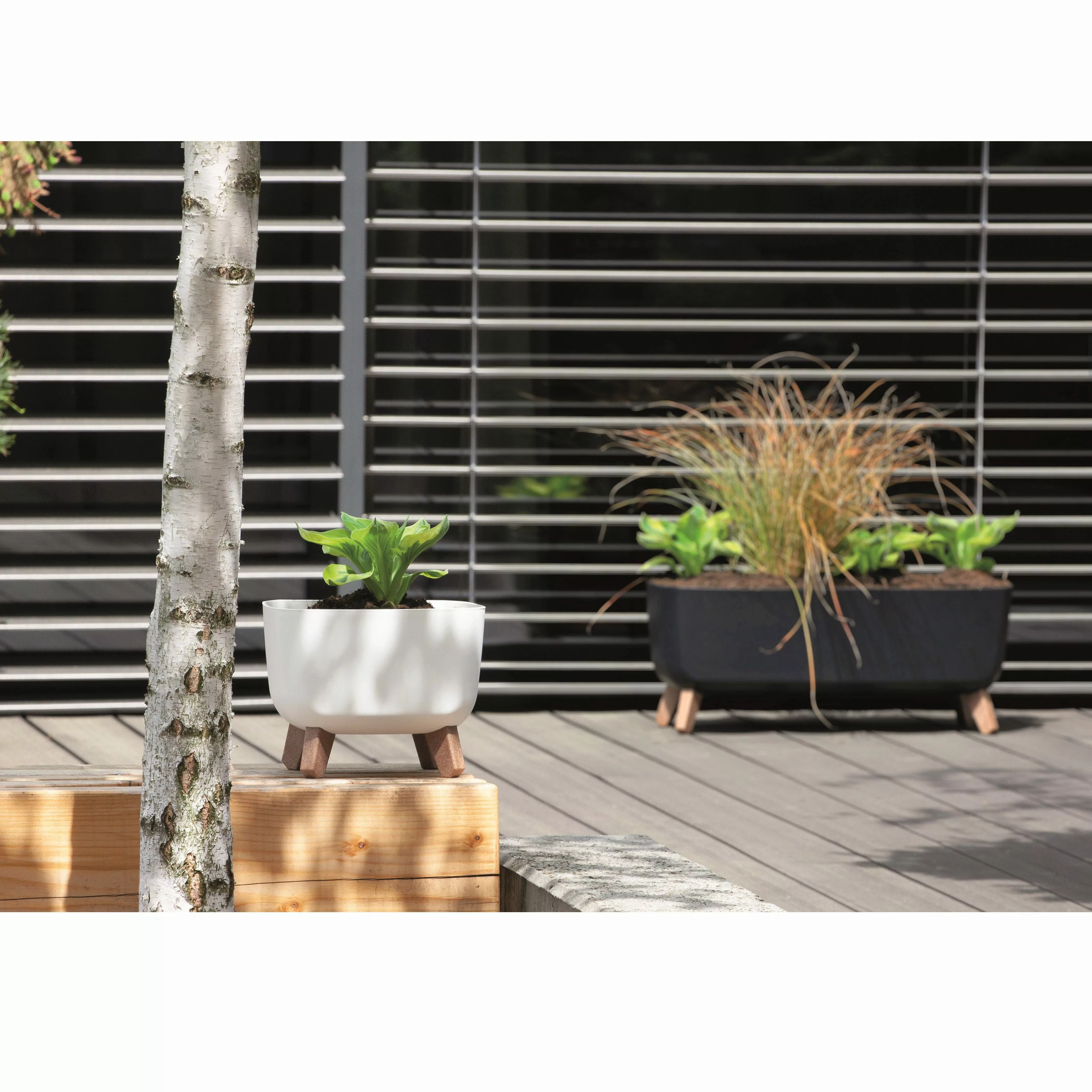 Prosperplast Blumentopf, Gracia Square mit abnehmbaren günstig online kaufen