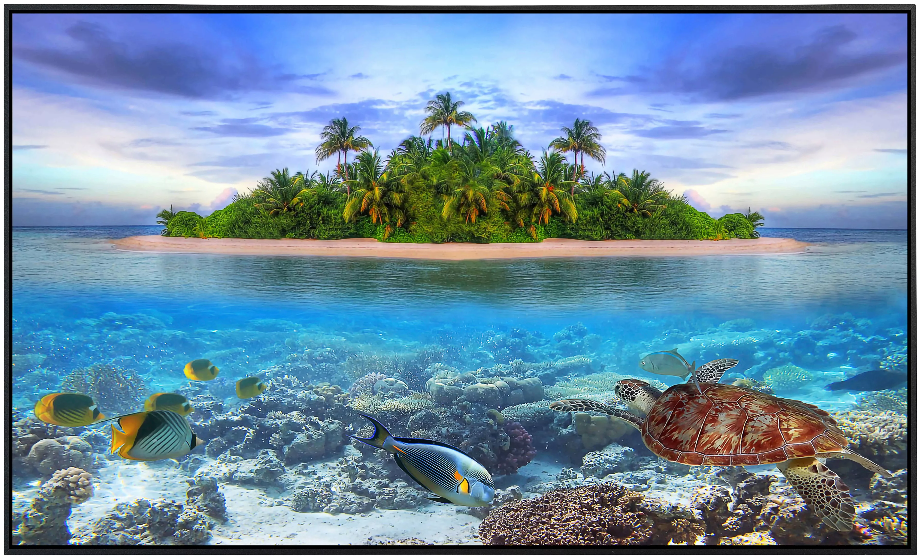 Papermoon Infrarotheizung »Meereslebewesen Malediven« günstig online kaufen