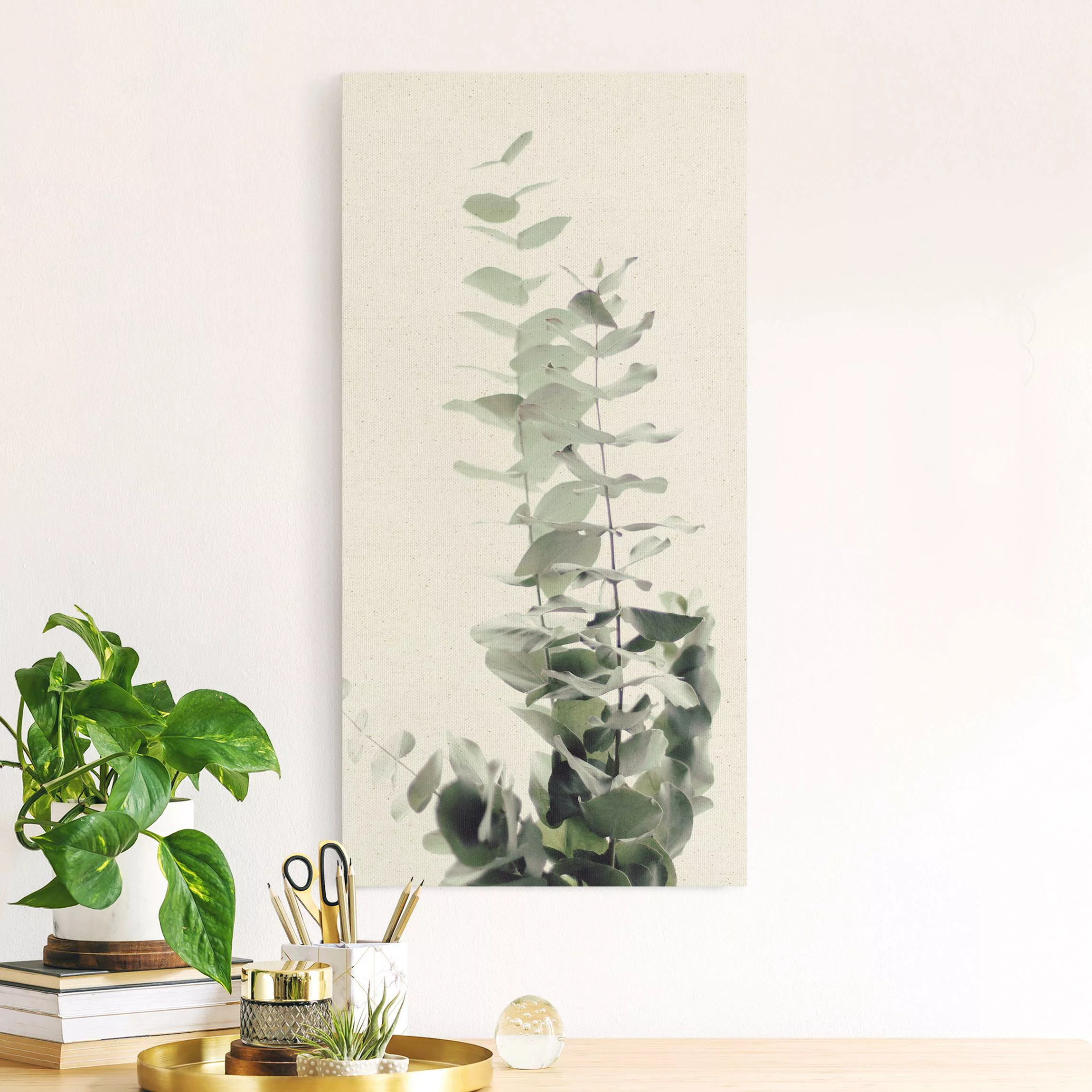 Leinwandbild auf Naturcanvas Eukalyptus im Weißen Licht günstig online kaufen