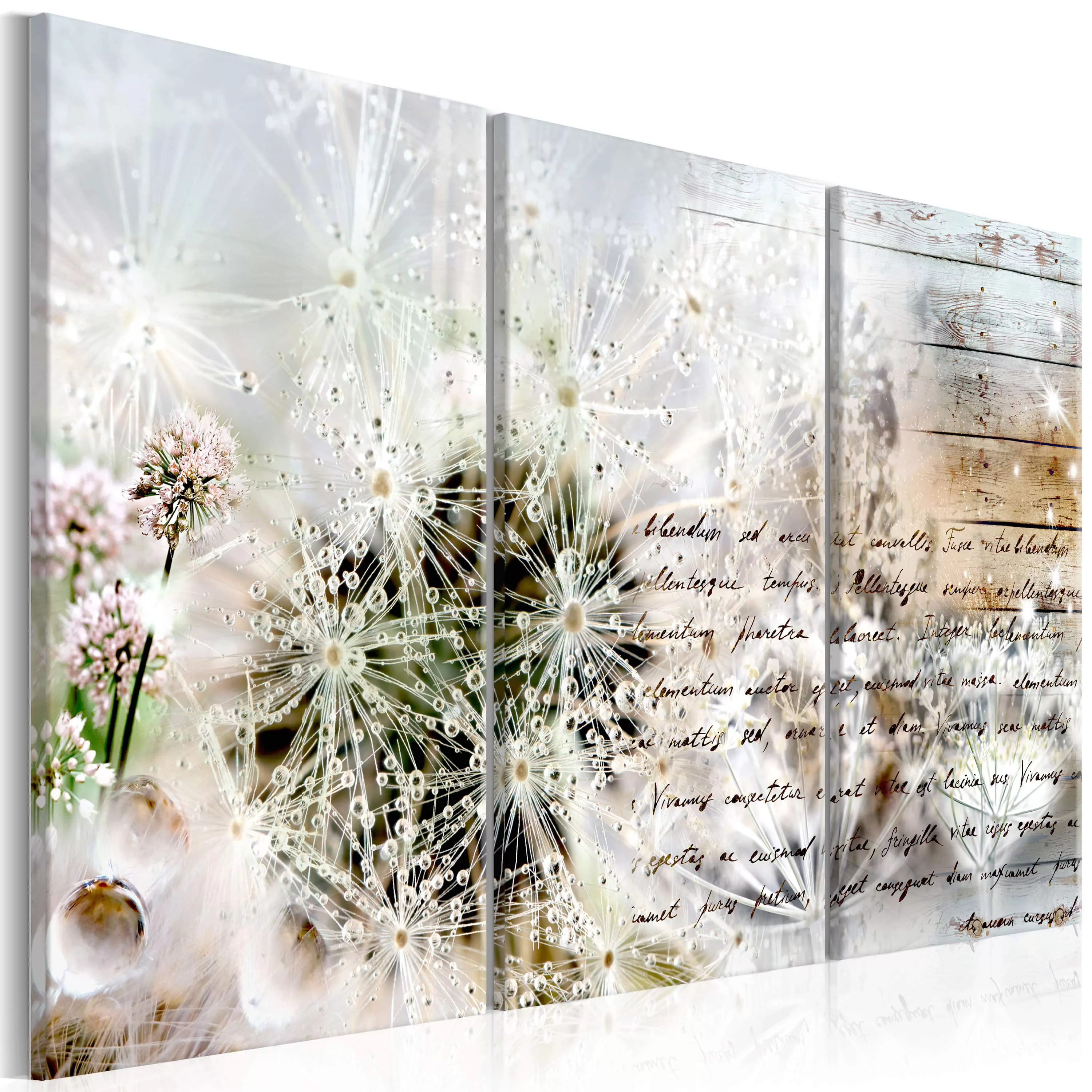 Wandbild - Starry Dandelions I günstig online kaufen