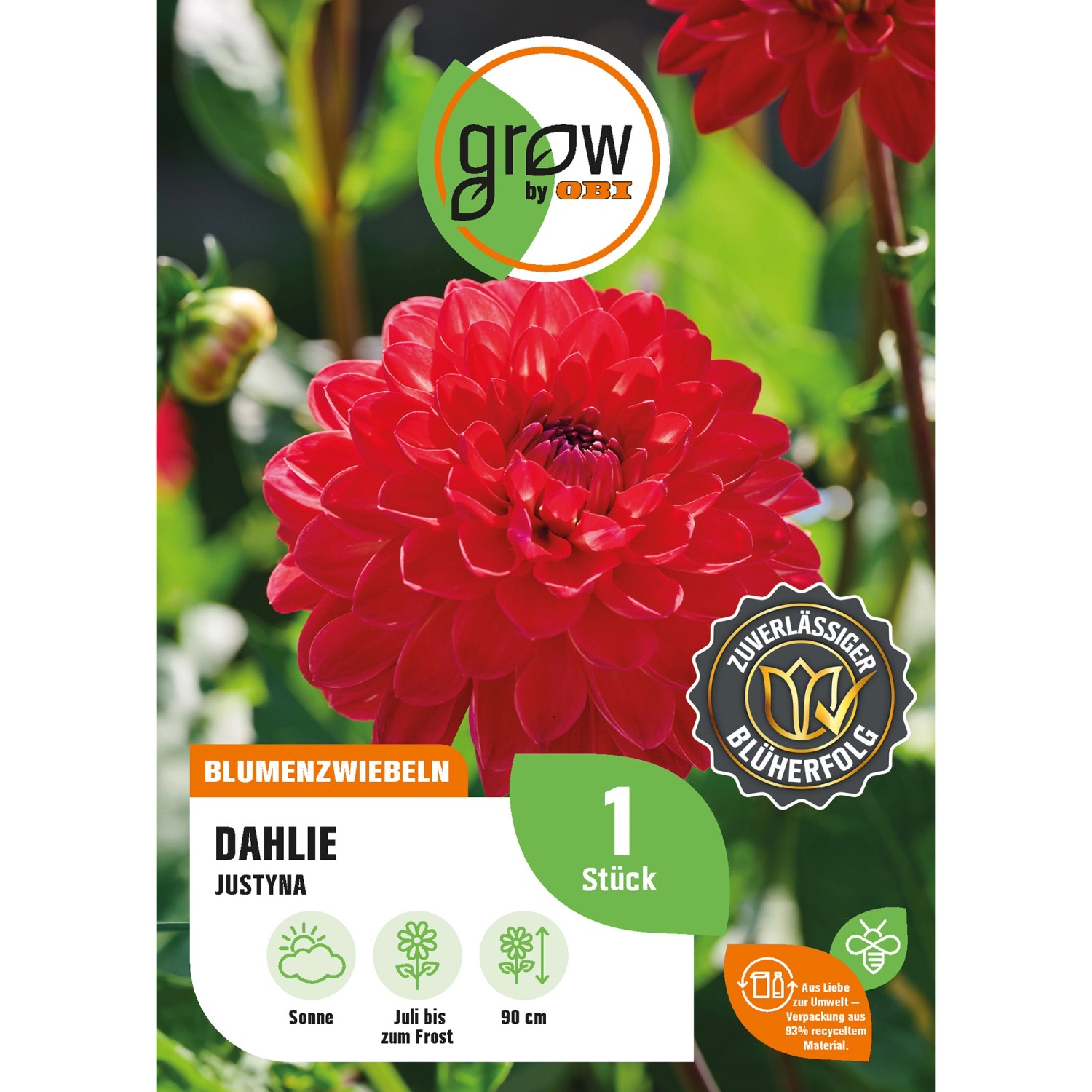 GROW by OBI Dahlie Justyna Höhe ca. 90 cm günstig online kaufen