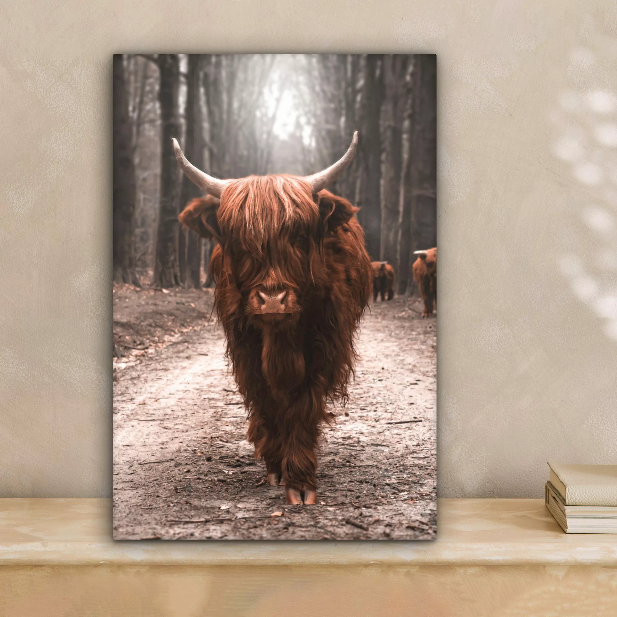 OneMillionCanvasses® Leinwandbild Schottischer Highlander - Tier günstig online kaufen