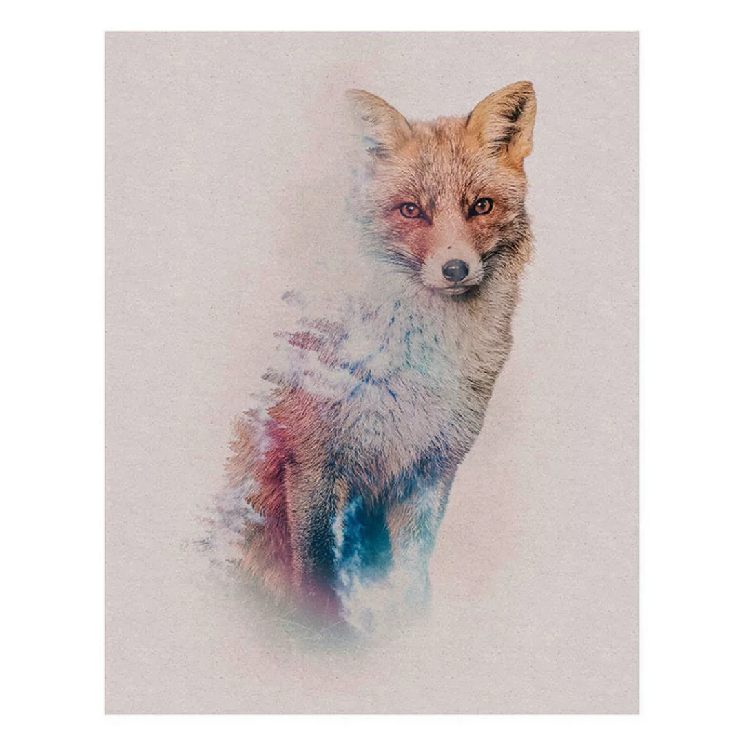 Komar Poster Animals Forest Fox Waldtiere B/L: ca. 40x50 cm günstig online kaufen