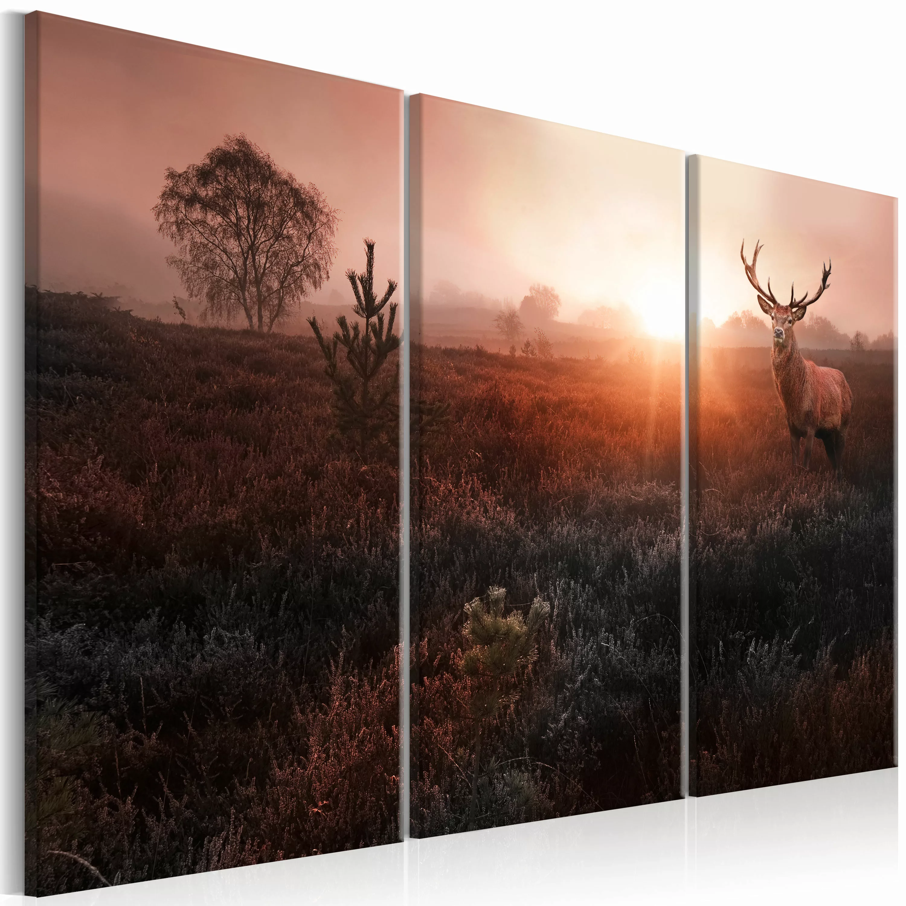 Wandbild - Deer In The Sunshine I günstig online kaufen