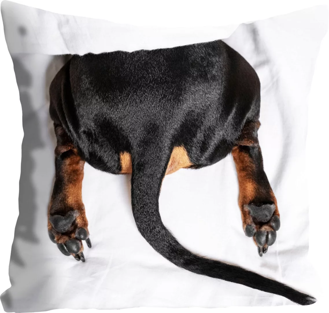 queence Dekokissen »Butt«, mit einem Hundehintern, Kissenhülle ohne Füllung günstig online kaufen