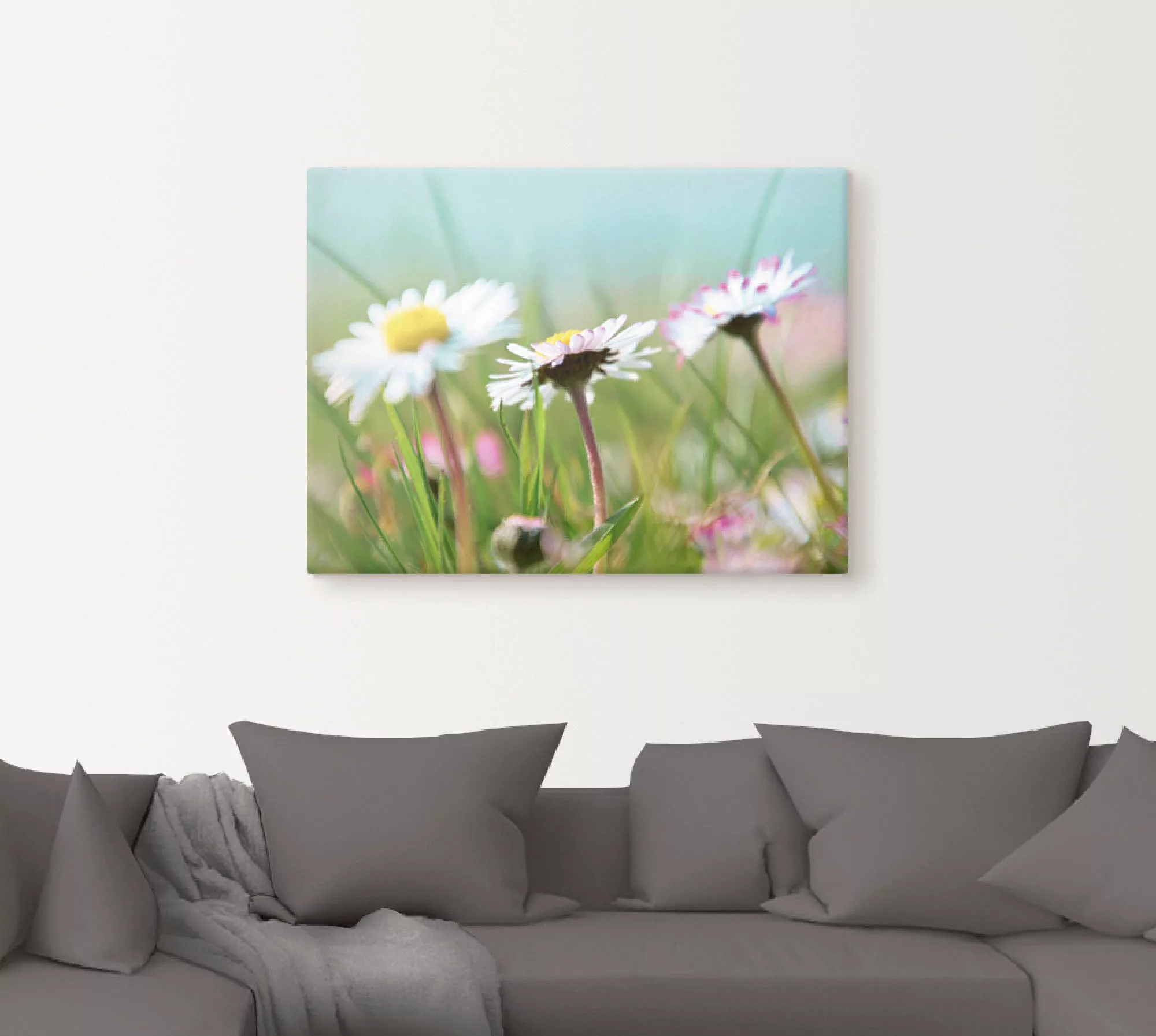 Artland Leinwandbild »Gänseblümchen Romantik«, Blumen, (1 St.), auf Keilrah günstig online kaufen