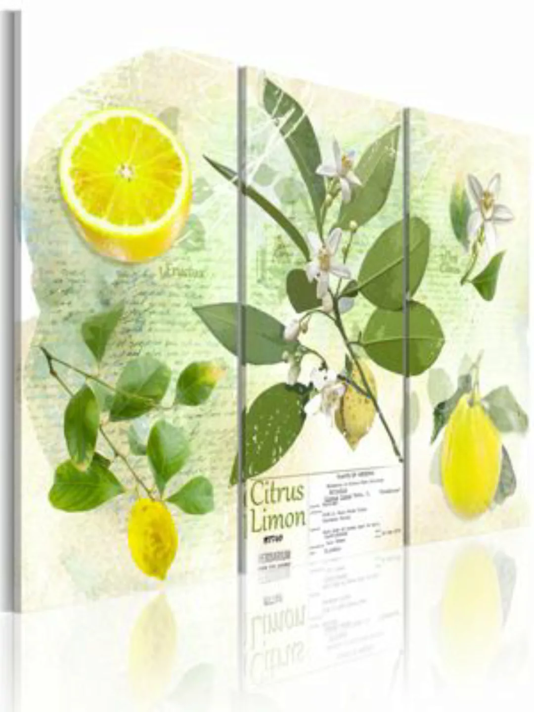 artgeist Wandbild Fruit: lemon mehrfarbig Gr. 60 x 40 günstig online kaufen