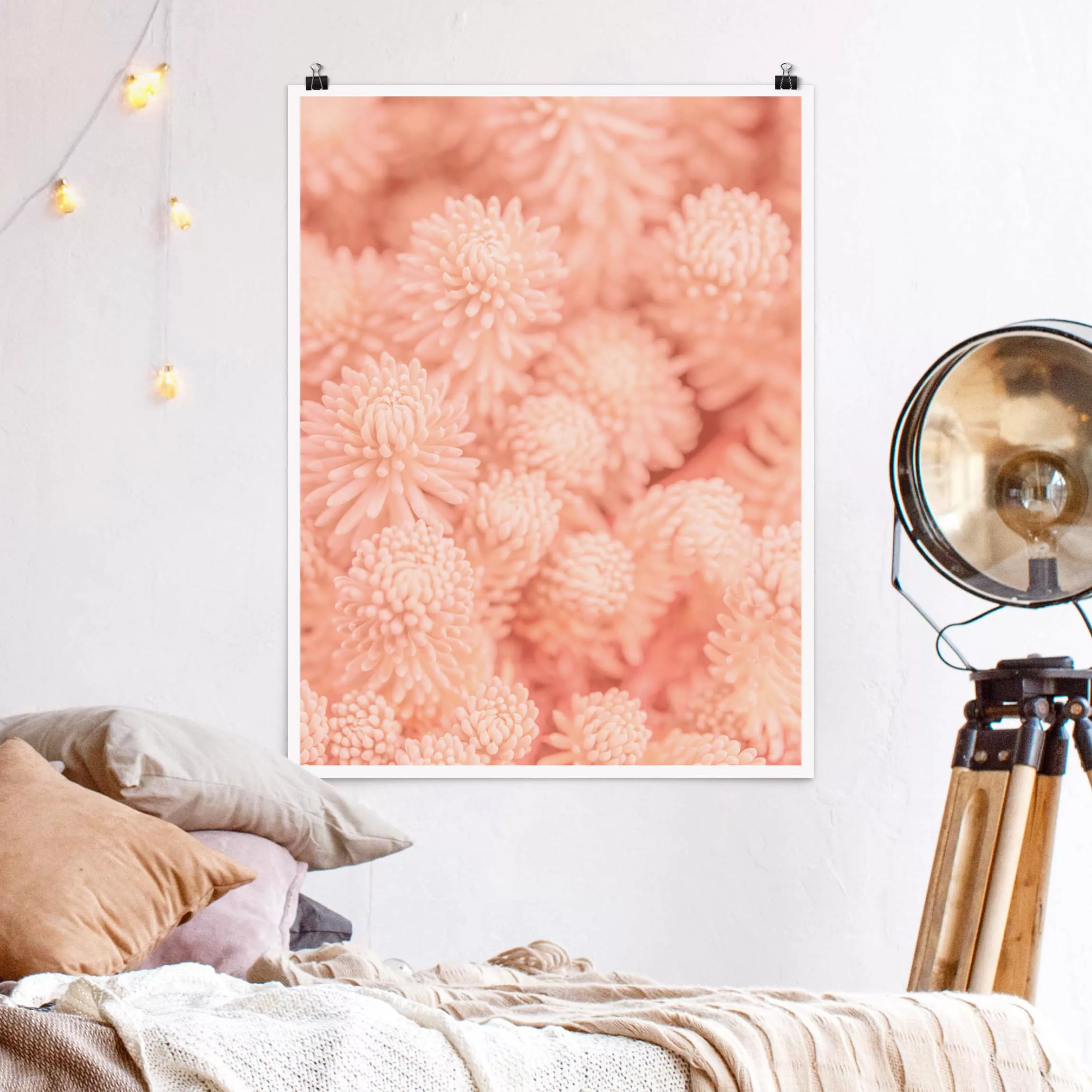 Poster Blumen - Hochformat Rosa Blütenzauber Sedum günstig online kaufen