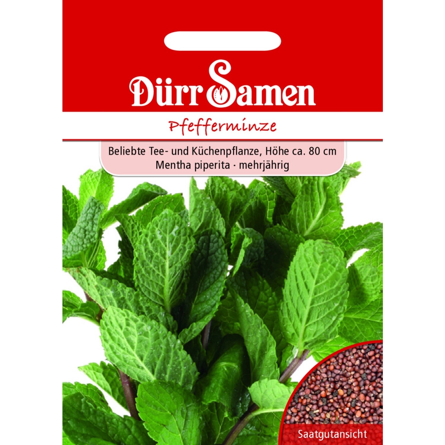 Dürr Samen Pfefferminze Saatgut günstig online kaufen