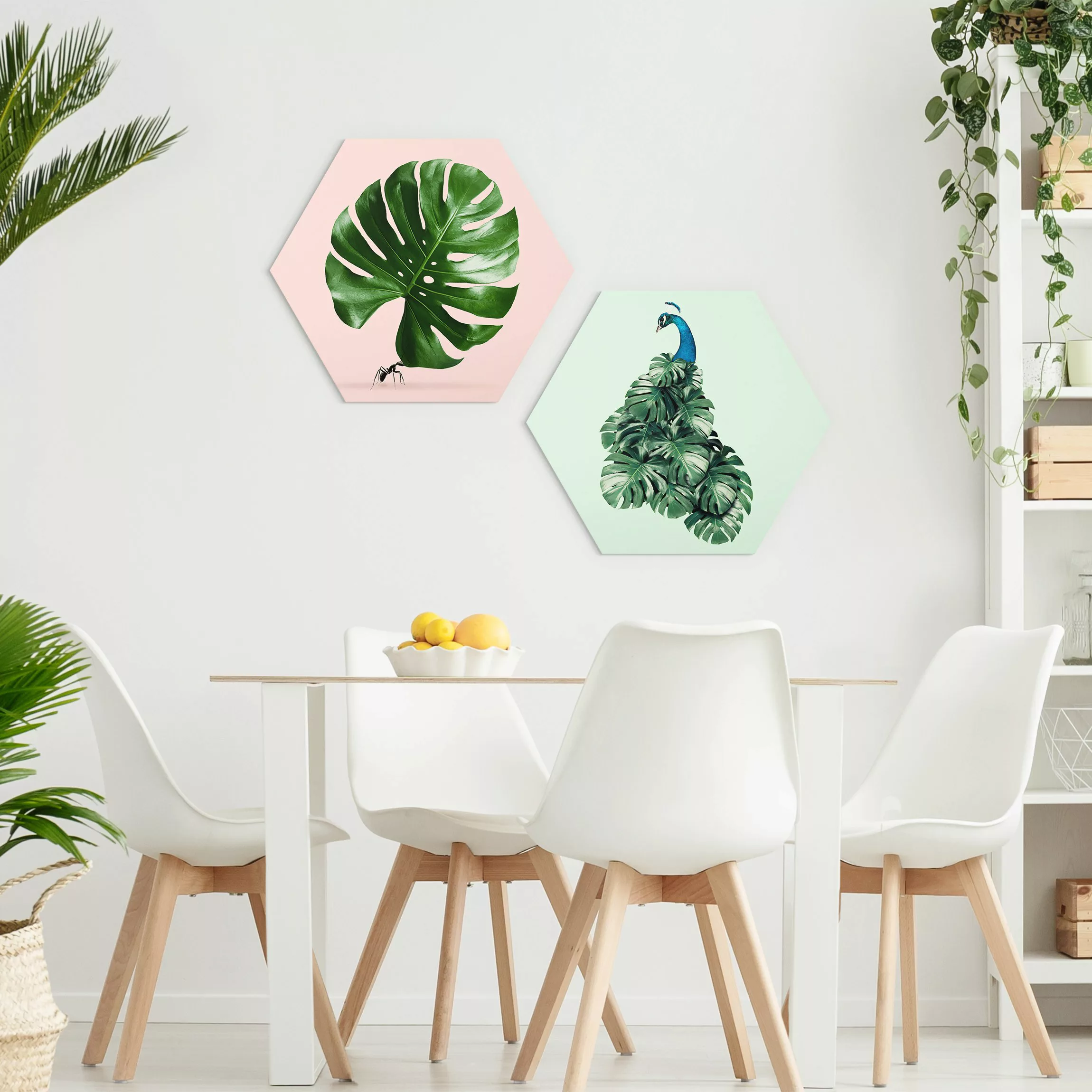 2-teiliges Hexagon-Alu-Dibond Bild Ameise und Pfau Monstera Blätter günstig online kaufen