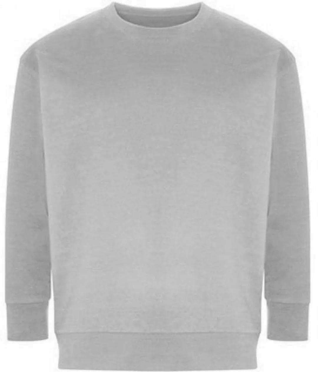 Ecologie Sweatshirt Crater Recycled Sweatshirt günstig online kaufen