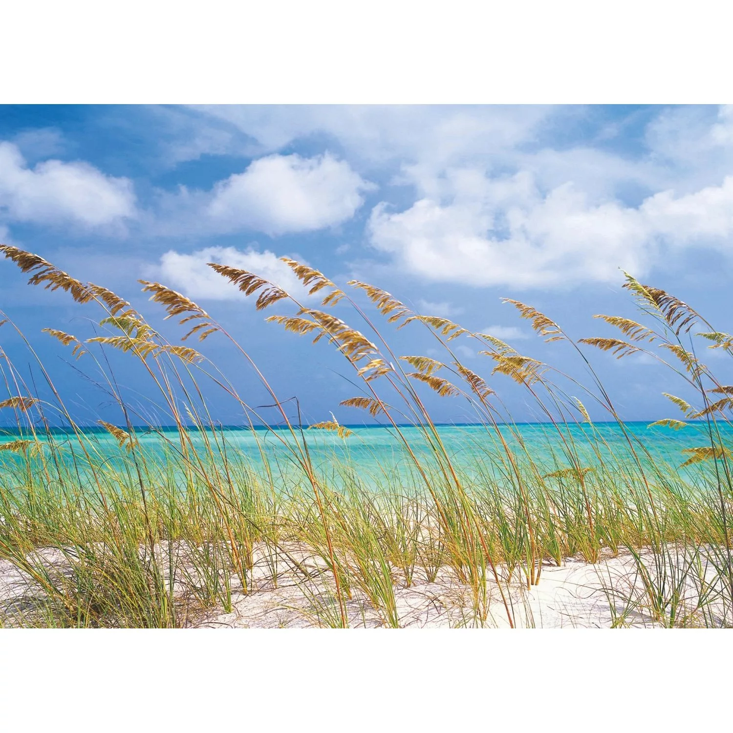 Komar Fototapete Ocean Breeze Blau und Grün 368 x 254 cm 610984 günstig online kaufen