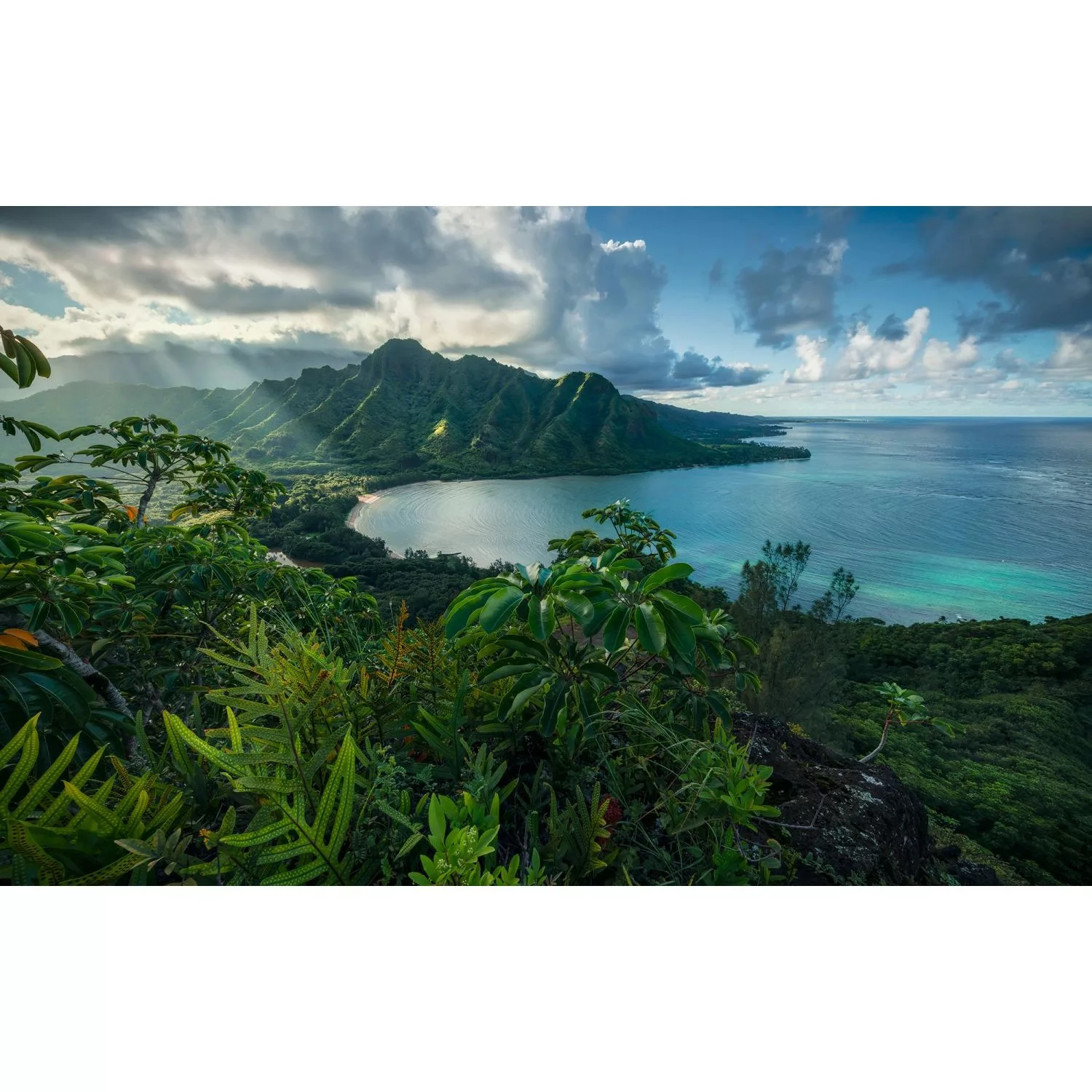 Sanders & Sanders Fototapete Tropische Insel Grün und Blau 450 x 280 cm 612 günstig online kaufen