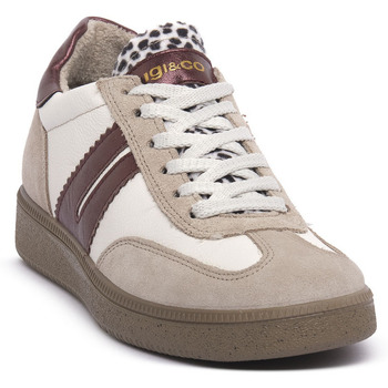 IgI&CO  Sneaker ATALA VISONE günstig online kaufen