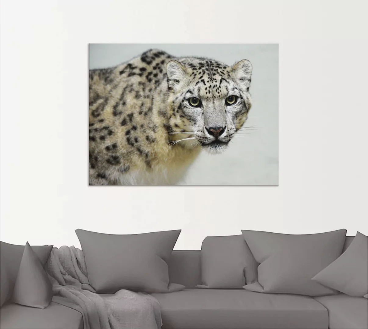 Artland Wandbild "Schneeleopard", Wildtiere, (1 St.), als Alubild, Outdoorb günstig online kaufen