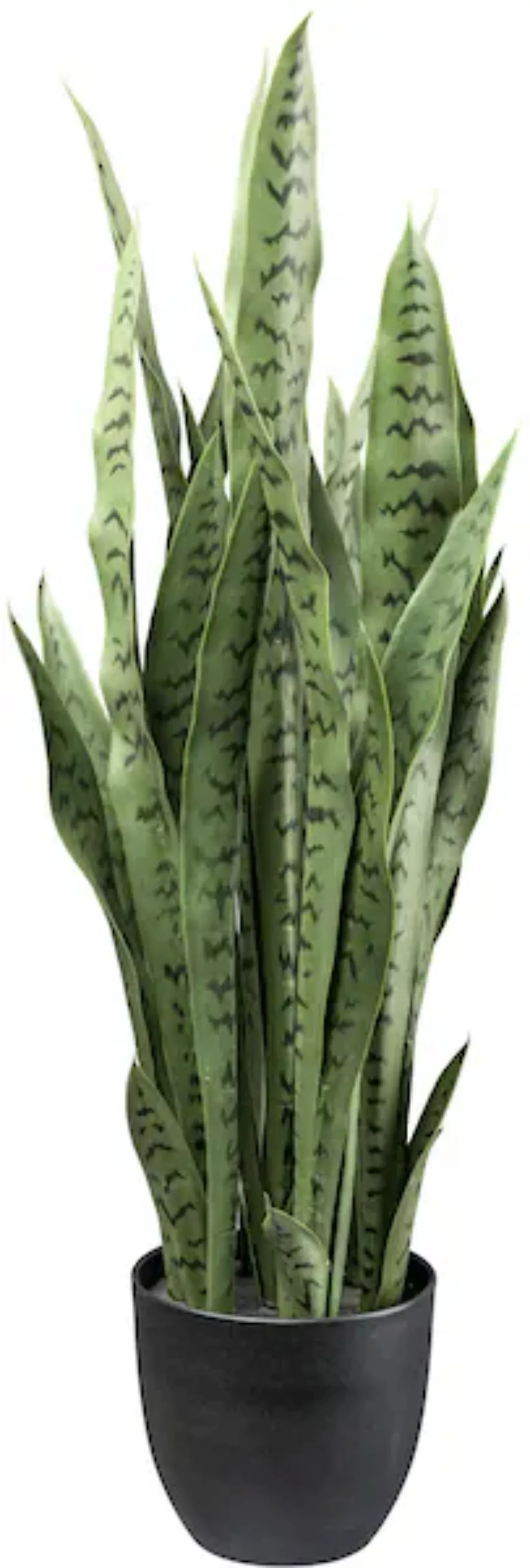 Künstliche Zimmerpflanze Sanseveria Grünpflanze, Creativ green, günstig online kaufen