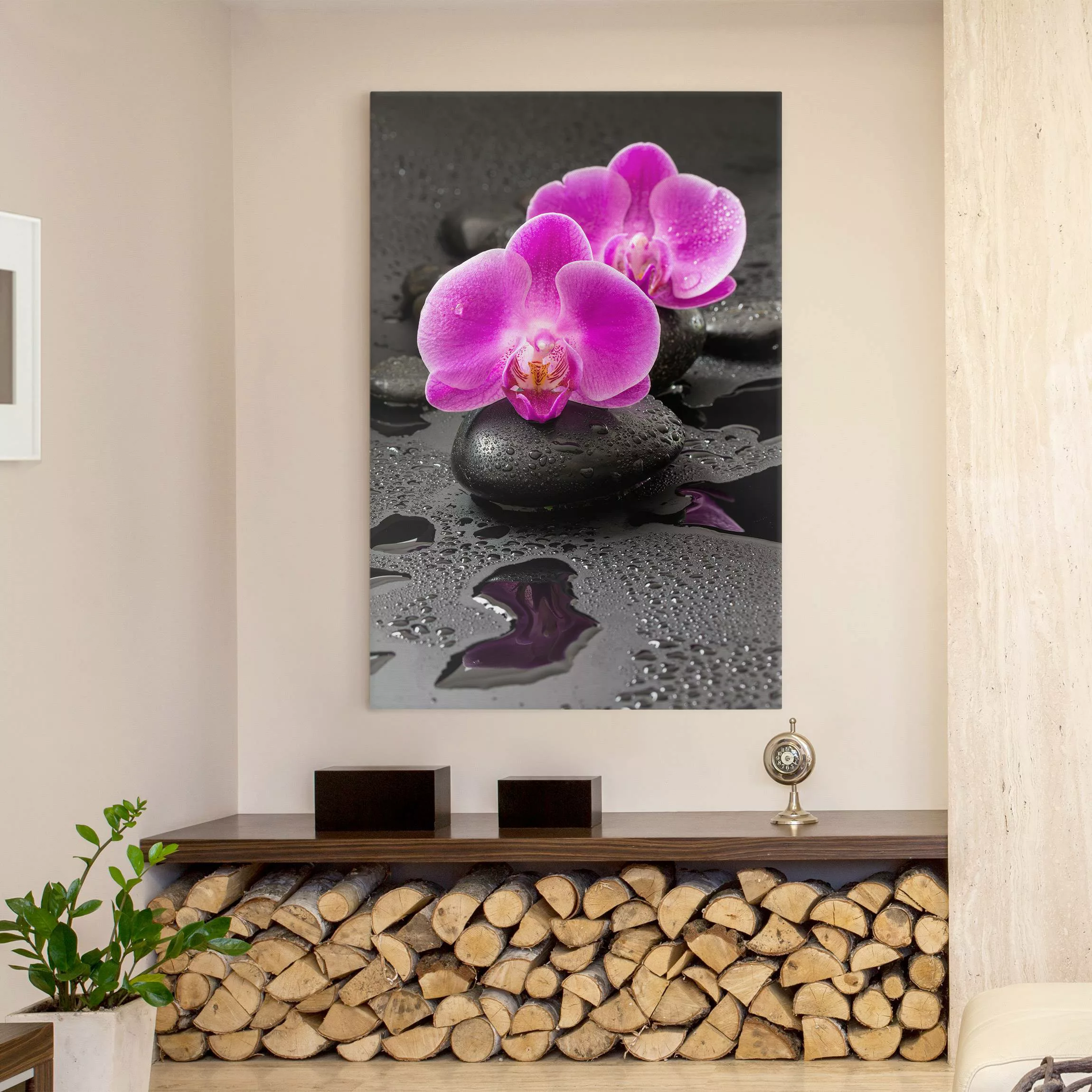 Leinwandbild Pinke Orchideenblüten auf Steinen mit Tropfen günstig online kaufen