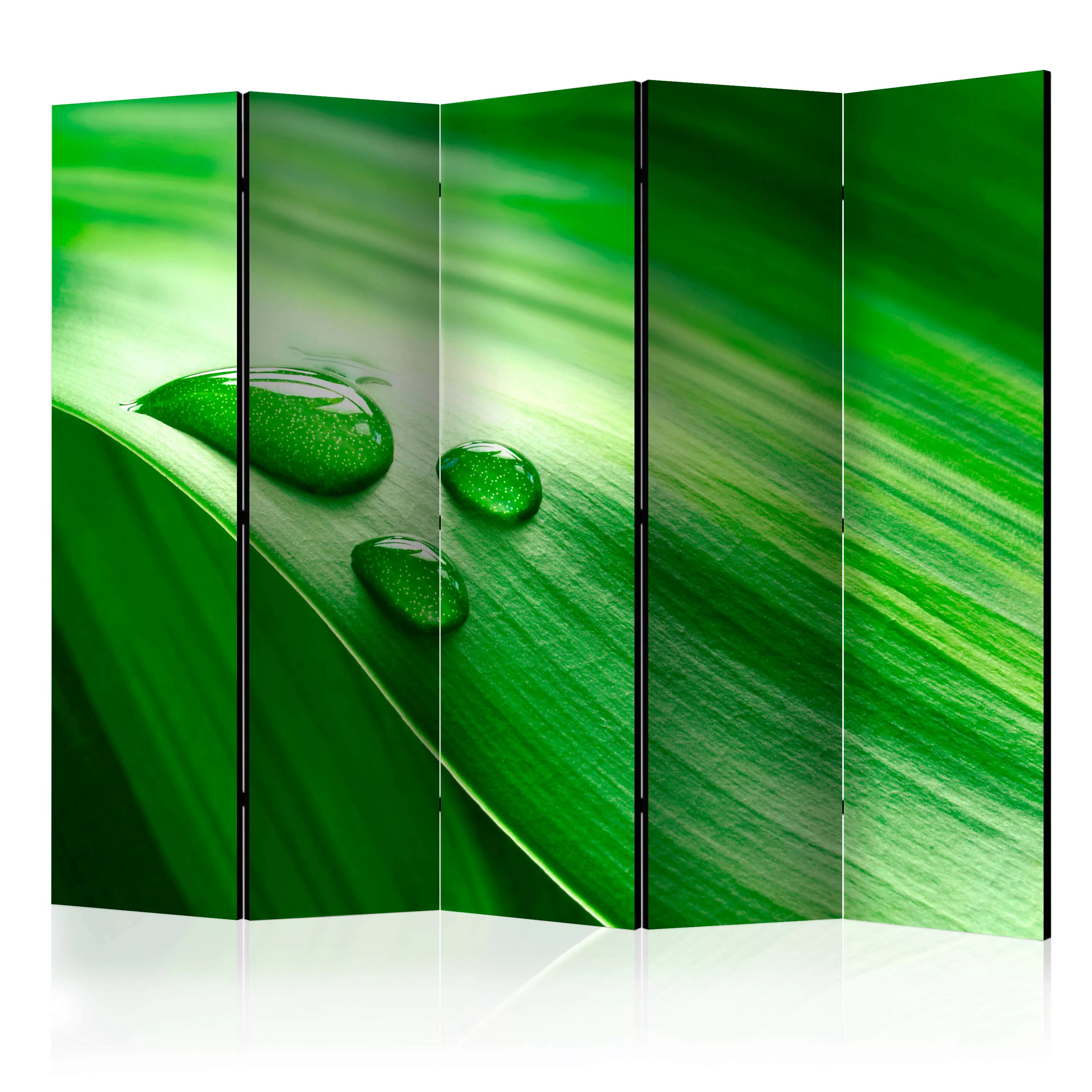 5-teiliges Paravent - Leaf And Three Drops Of Water Ii [room Dividers] günstig online kaufen