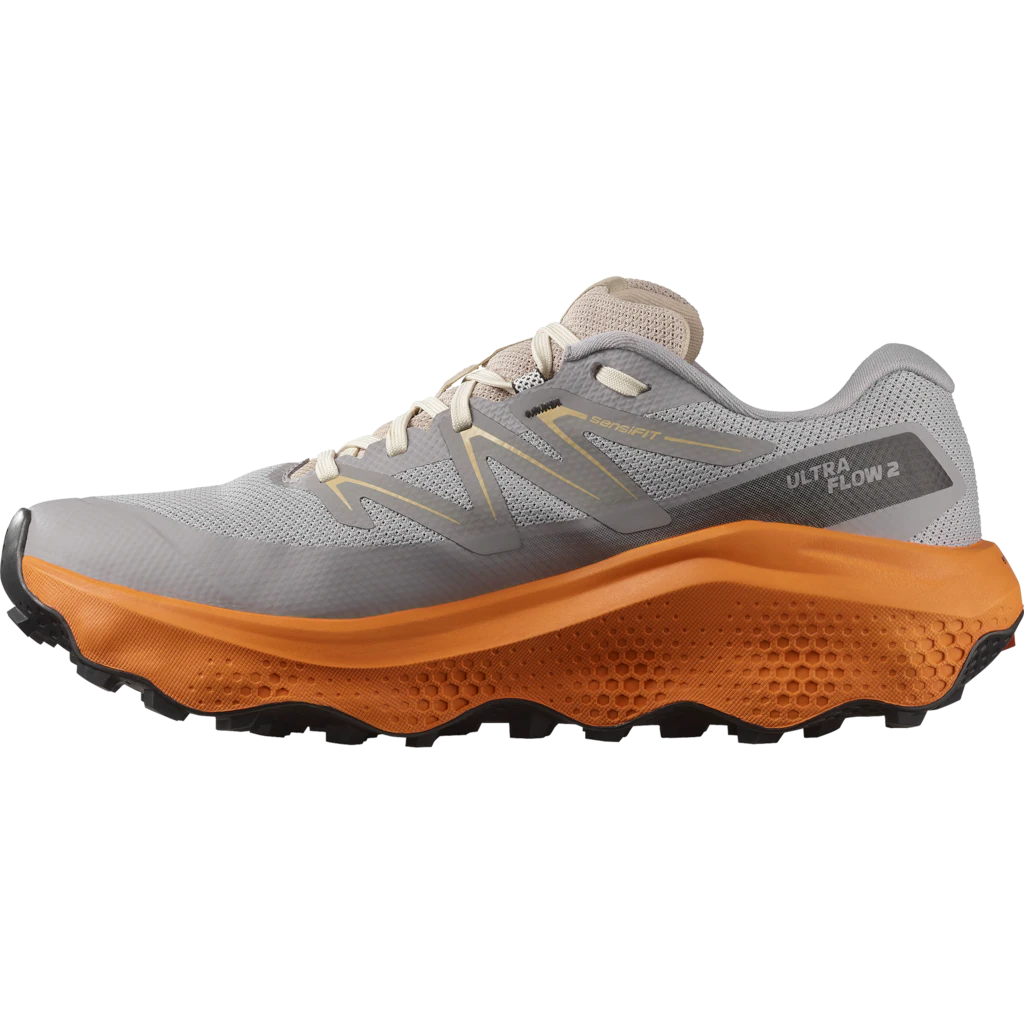 Salomon Laufschuh "ULTRA FLOW 2 GORE-TEX", wasserdicht günstig online kaufen
