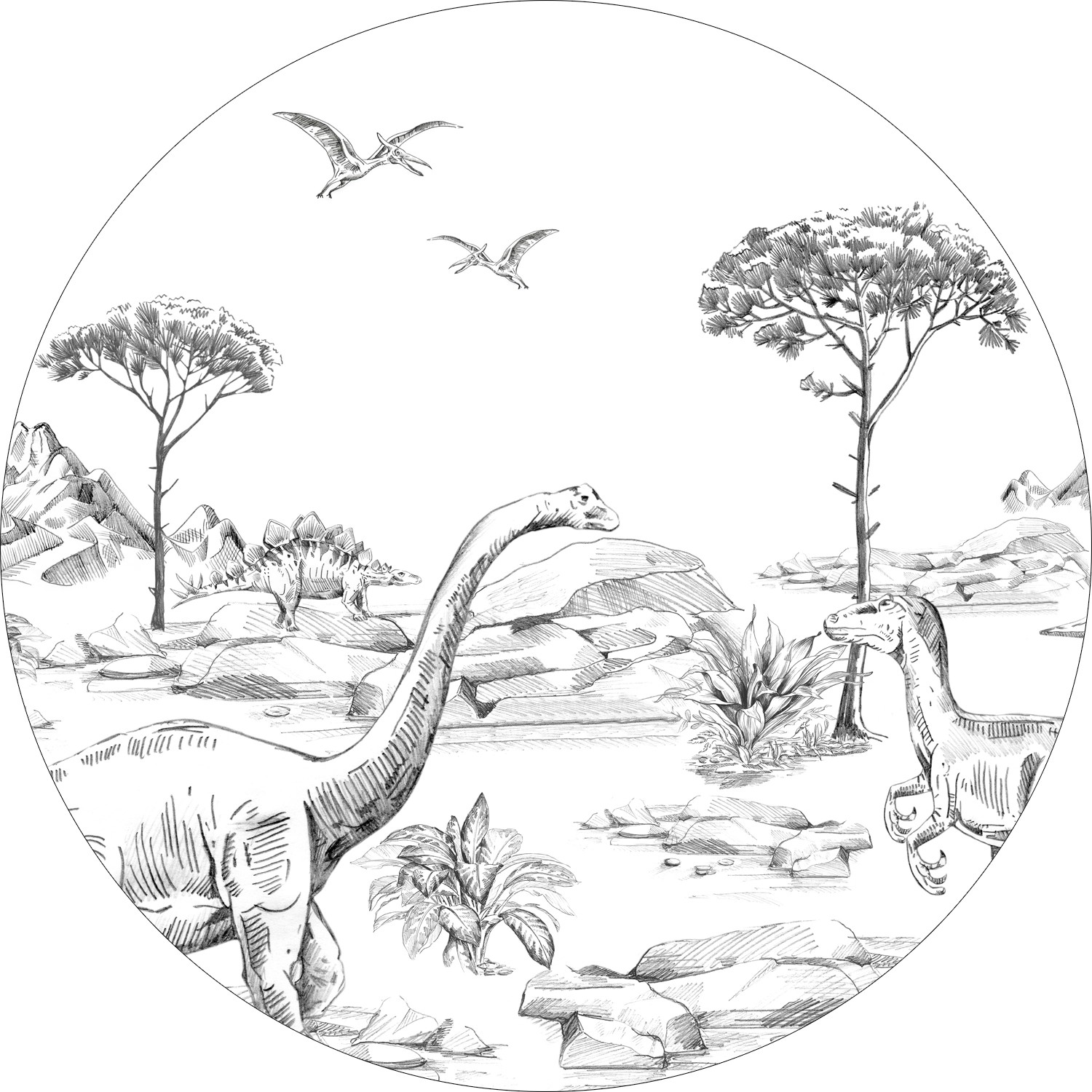 ESTAhome Selbstklebende Runde Tapete Dinosaurier Schwarz-Weiß Ø 70 cm 15907 günstig online kaufen