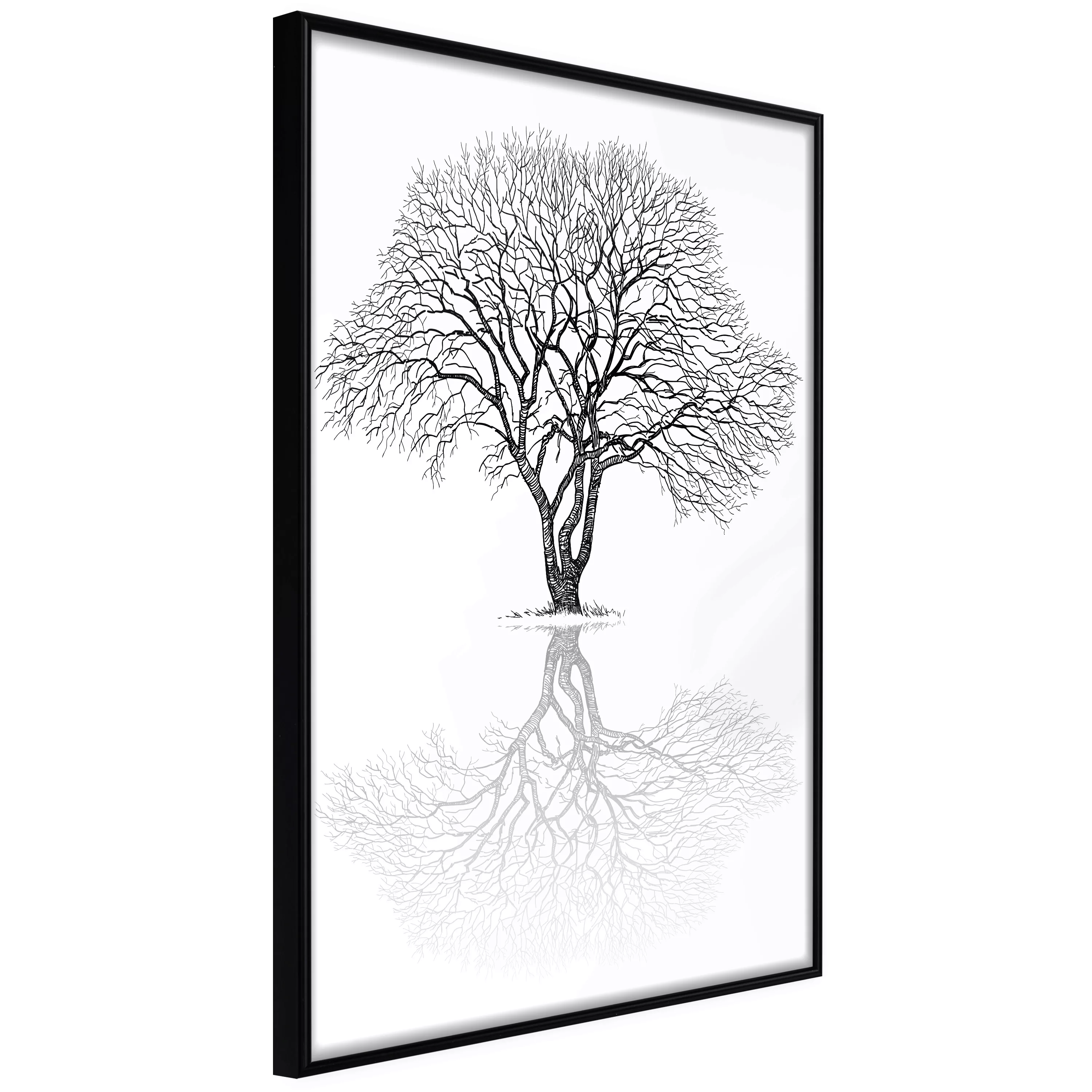 Poster - Roots Or Treetop? günstig online kaufen