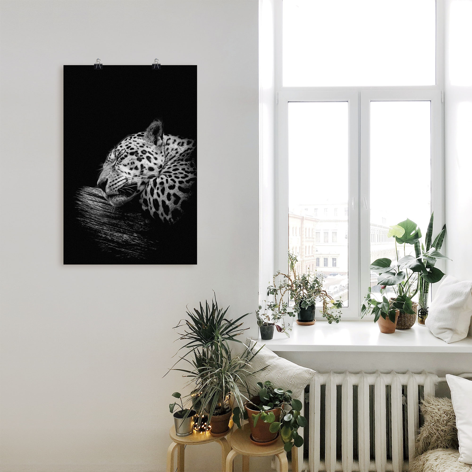 Artland Wandbild "Der schlafende Jaguar", Wildtiere, (1 St.), als Alubild, günstig online kaufen