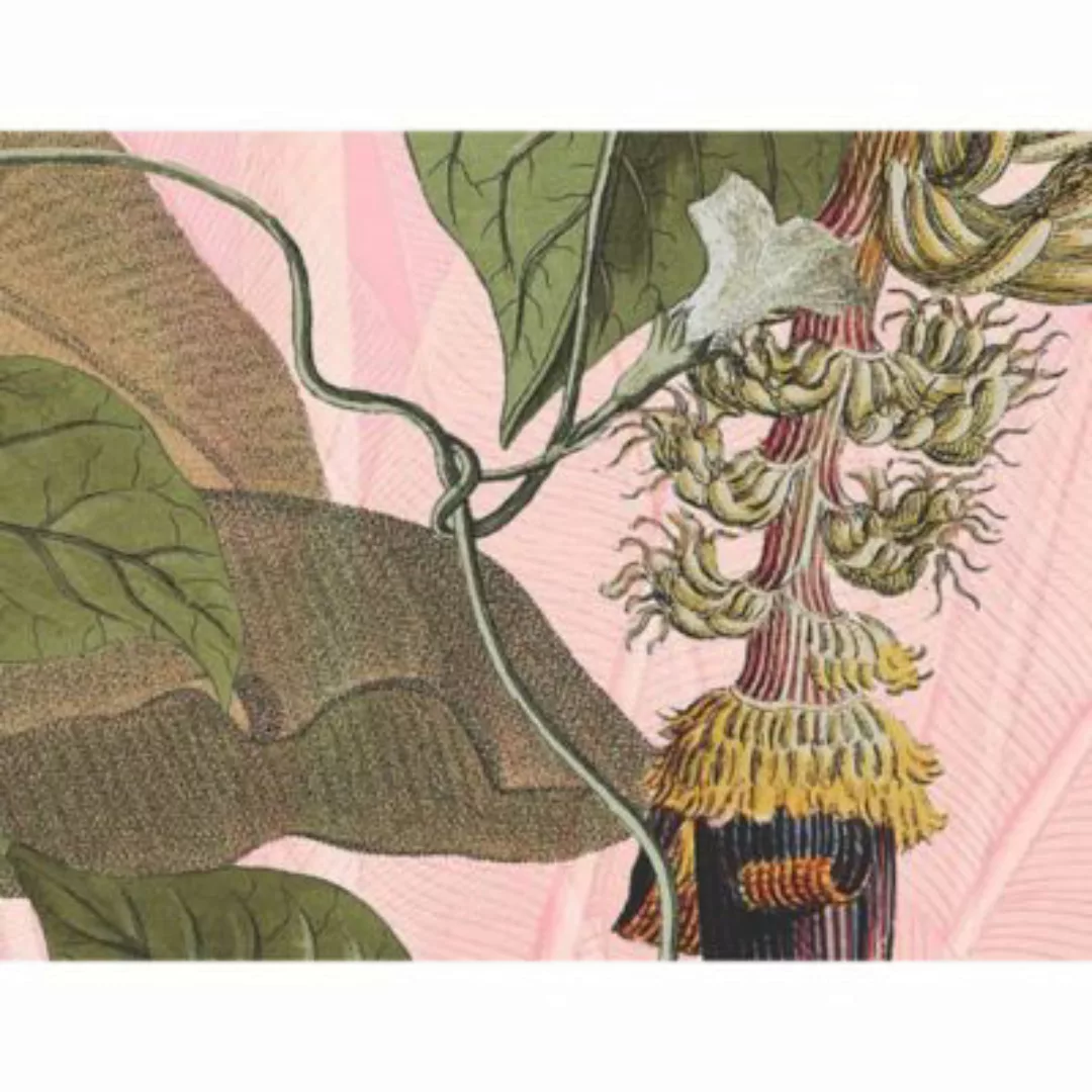 KOMAR Vlies Fototapete - Plantation - Größe 350 x 270 cm mehrfarbig günstig online kaufen