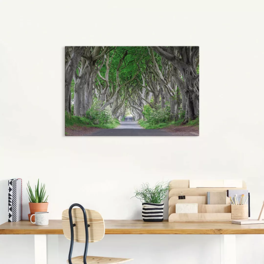 Artland Wandbild "Straße durch den Zauberwald", Waldbilder, (1 St.) günstig online kaufen