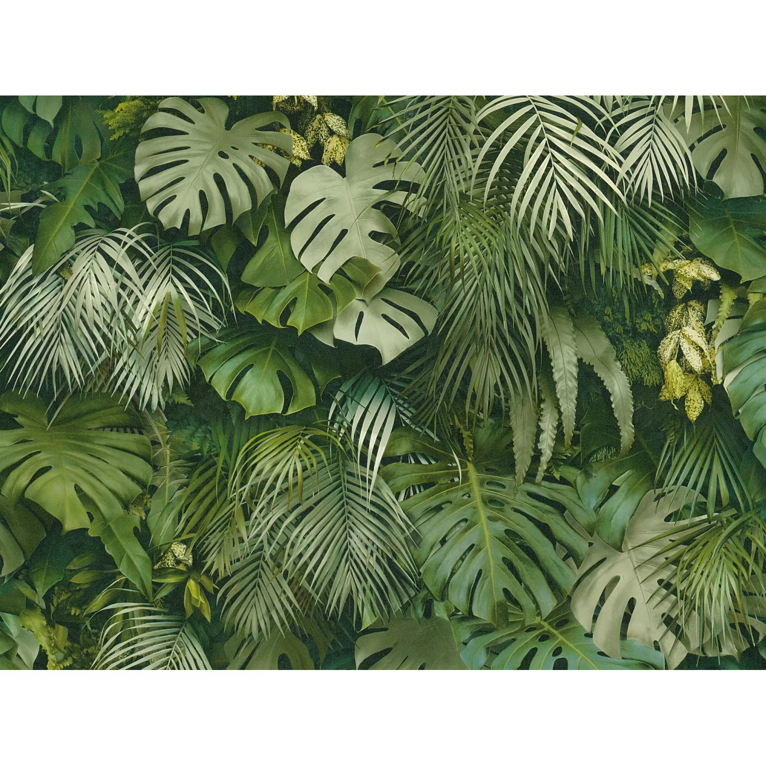 Bricoflor Tapete mit Palmenblättern in Grün 3D Tapete mit Monstera Design f günstig online kaufen
