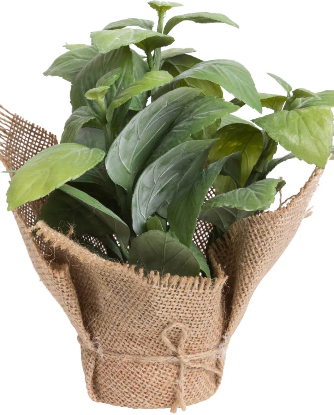 Botanic-Haus Künstliche Zimmerpflanze »Kräuter« günstig online kaufen
