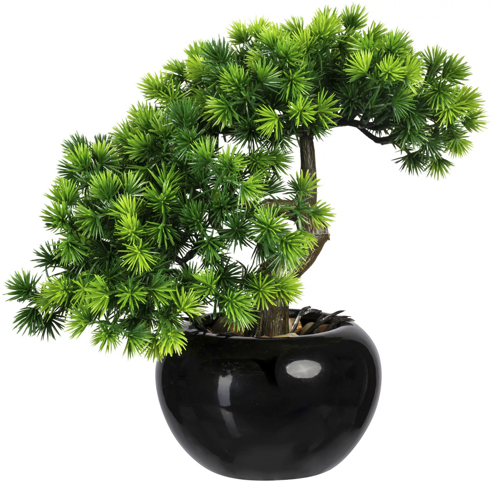 Creativ green Kunstbonsai "Bonsai Lärche", im Keramiktopf, 2er Set günstig online kaufen