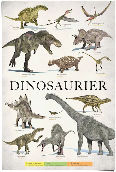 Reinders! Poster »Dinosaurier«, (1 St.) günstig online kaufen