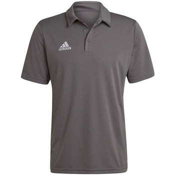 adidas  T-Shirt Entrada 22 günstig online kaufen