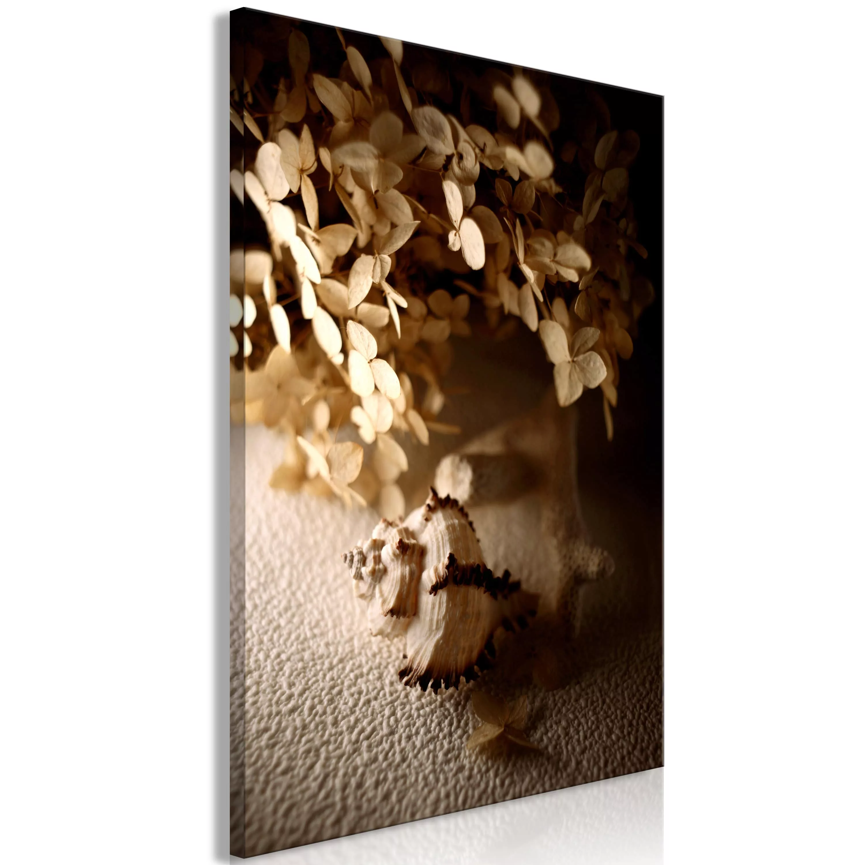 Wandbild - Humming Seashell (1 Part) Vertical günstig online kaufen