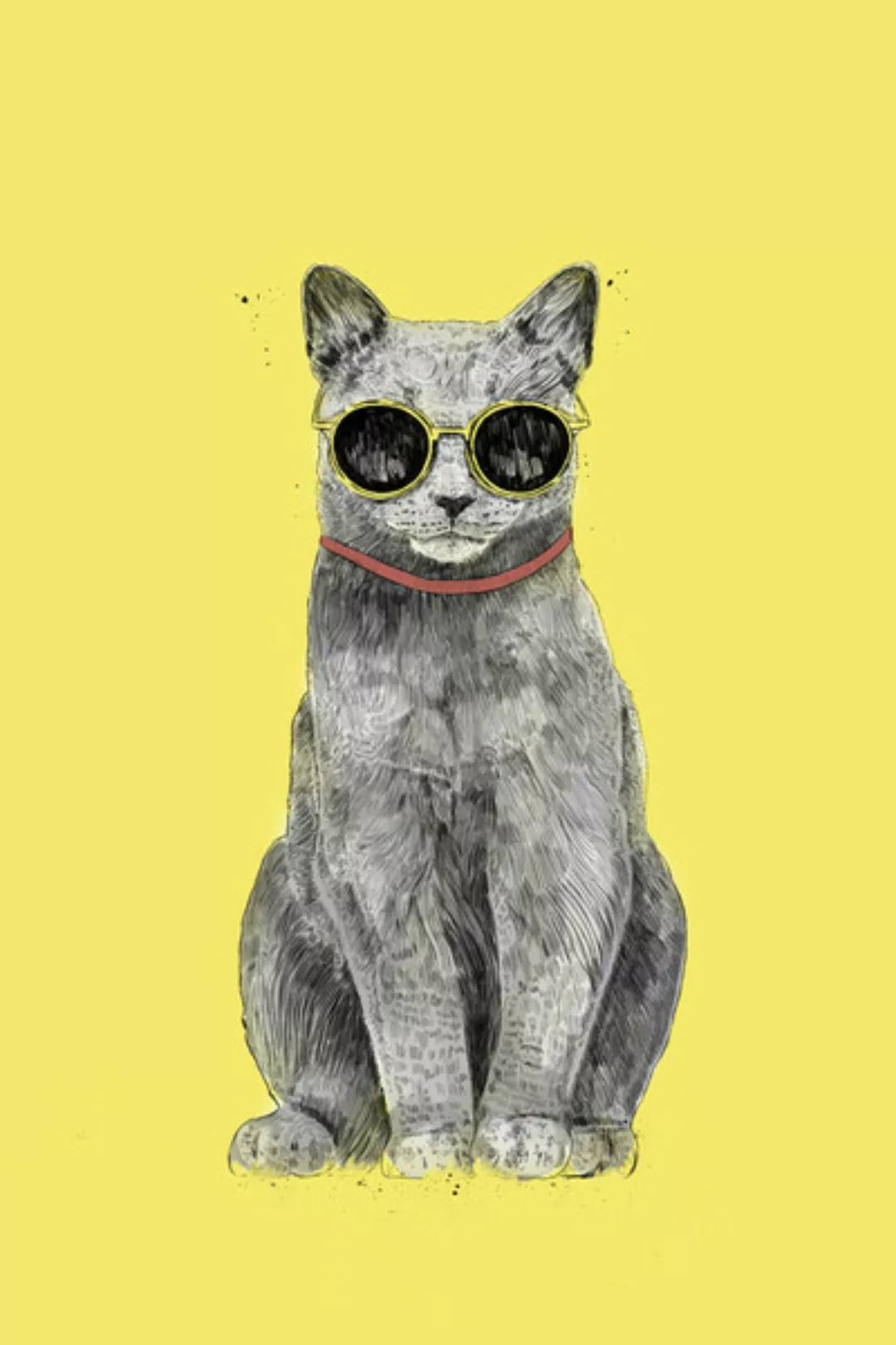 Poster / Leinwandbild - Summer Cat günstig online kaufen