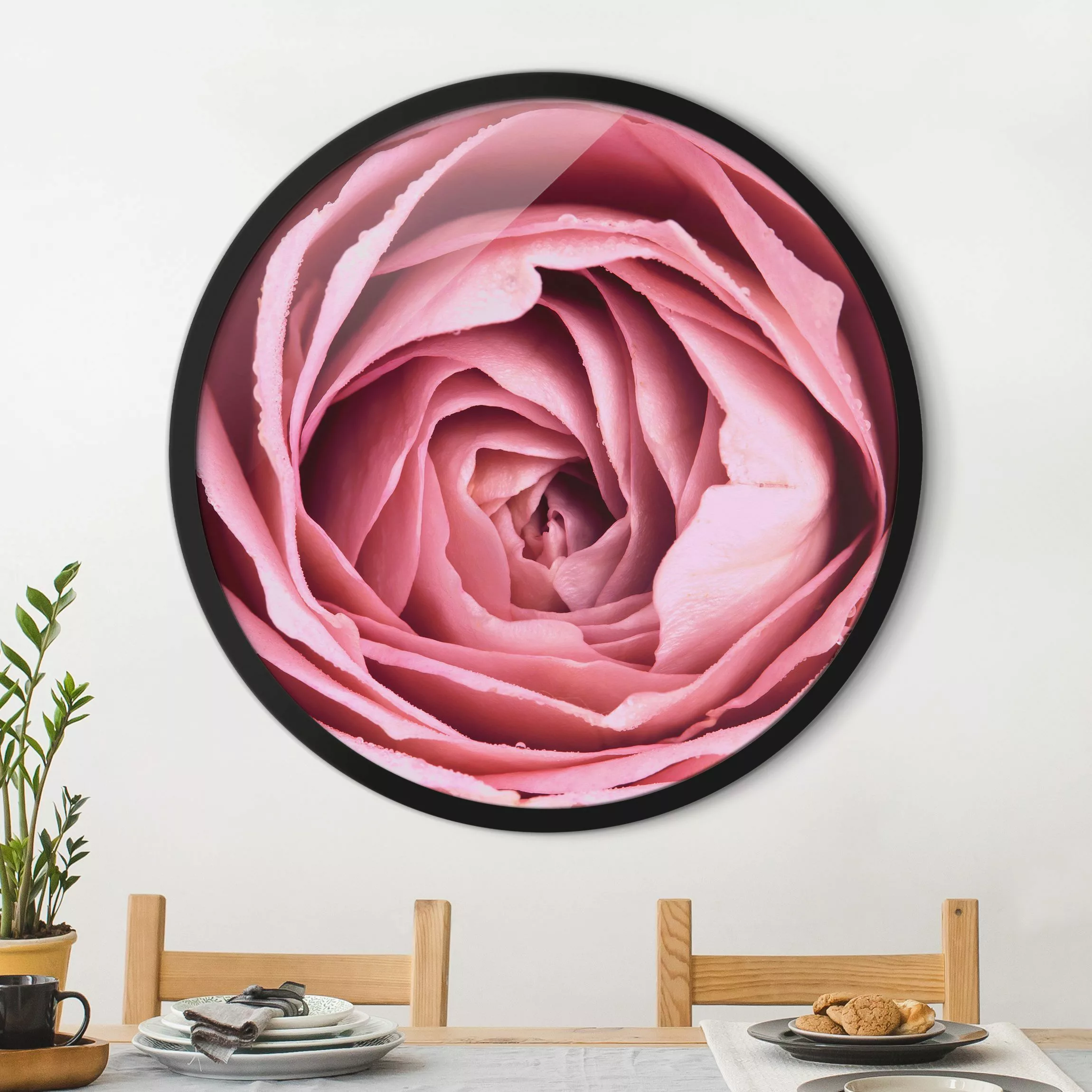 Rundes Gerahmtes Bild Rosa Rosenblüte günstig online kaufen